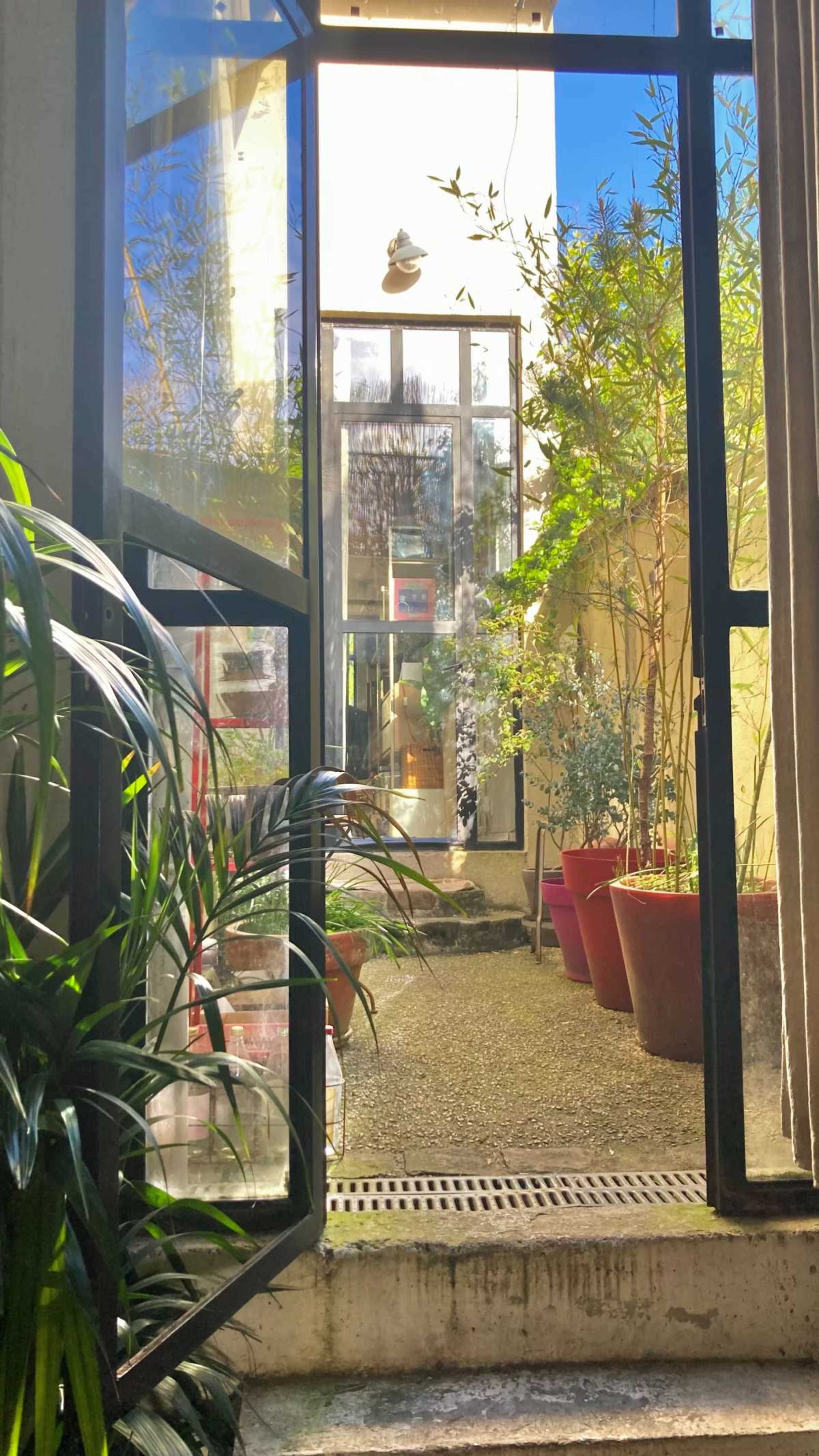 A door opens to a sunlit courtyard filled with potted plants and greenery.