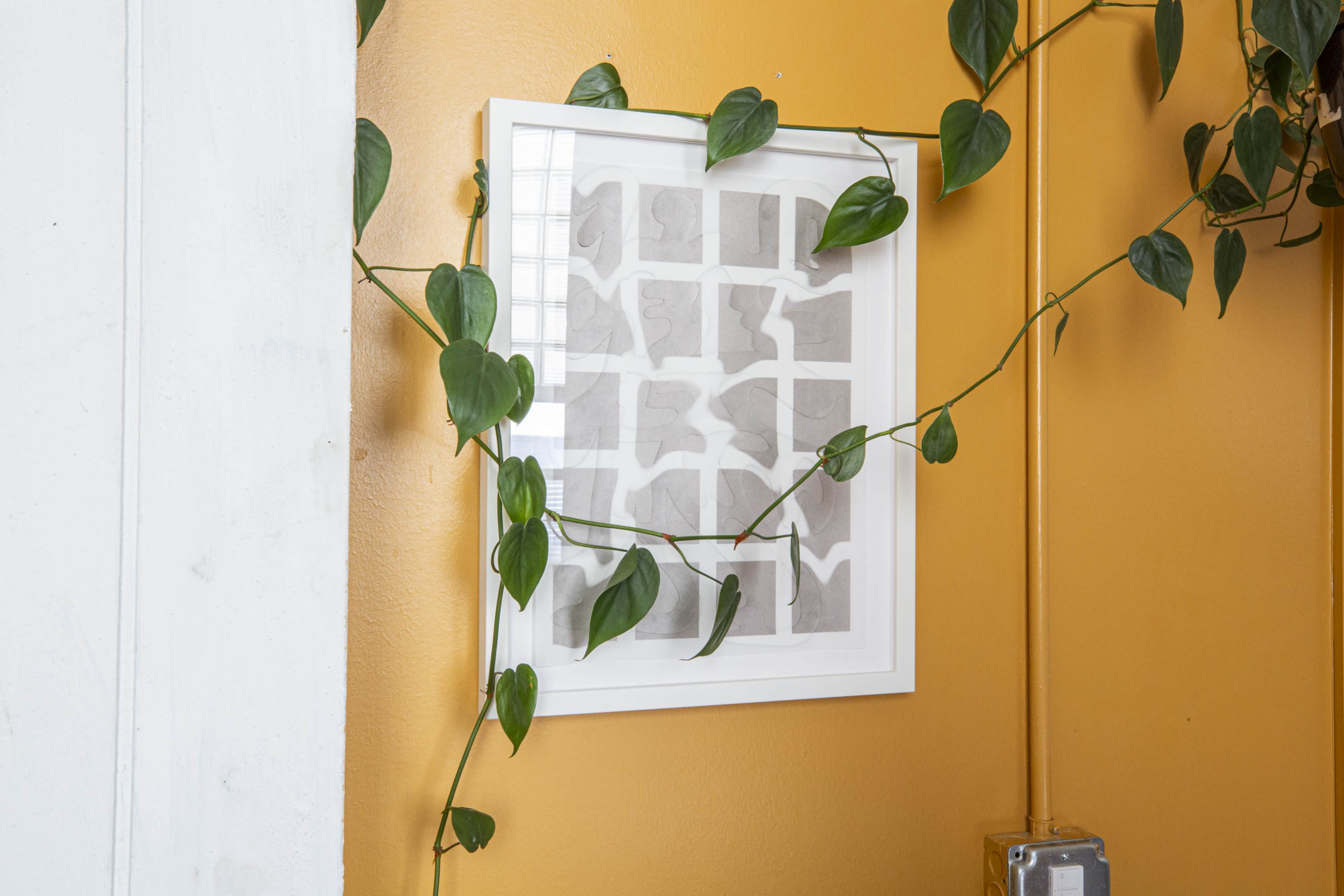 A framed piece of abstract art is mounted on a yellow wall, with green vine-like plants cascading around it.