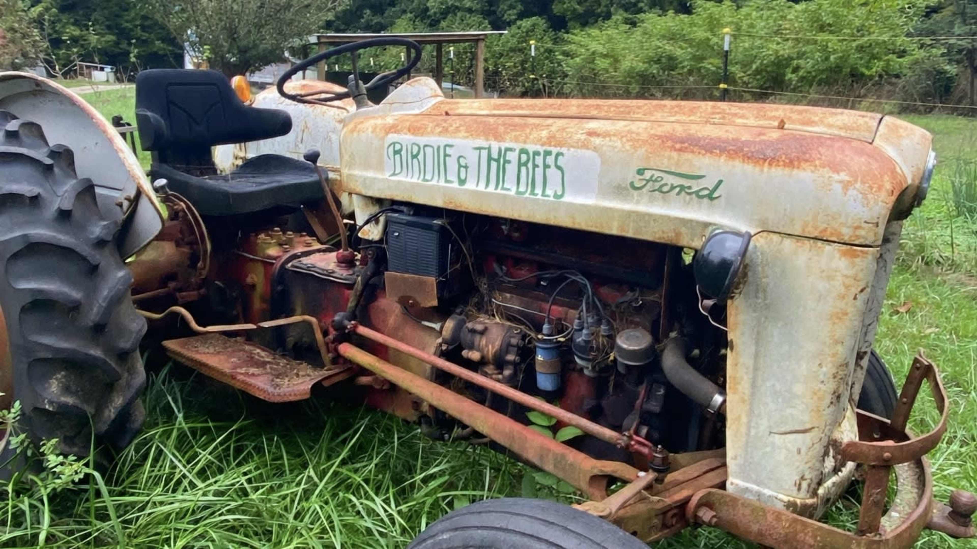 An old, rusty Ford tractor with the text "Birdie & The Bees" is parked amid overgrown grass.