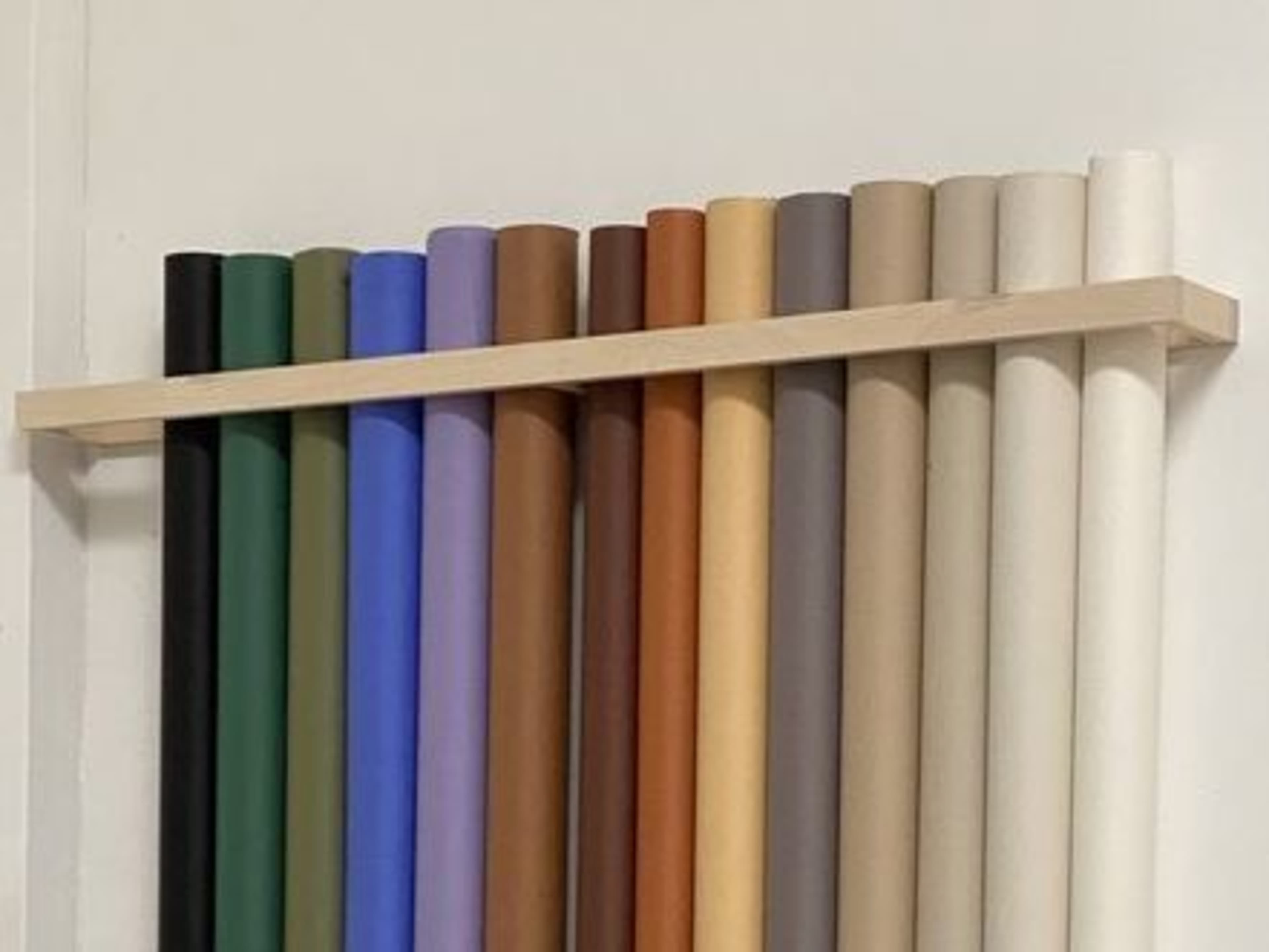 Color Backdrop