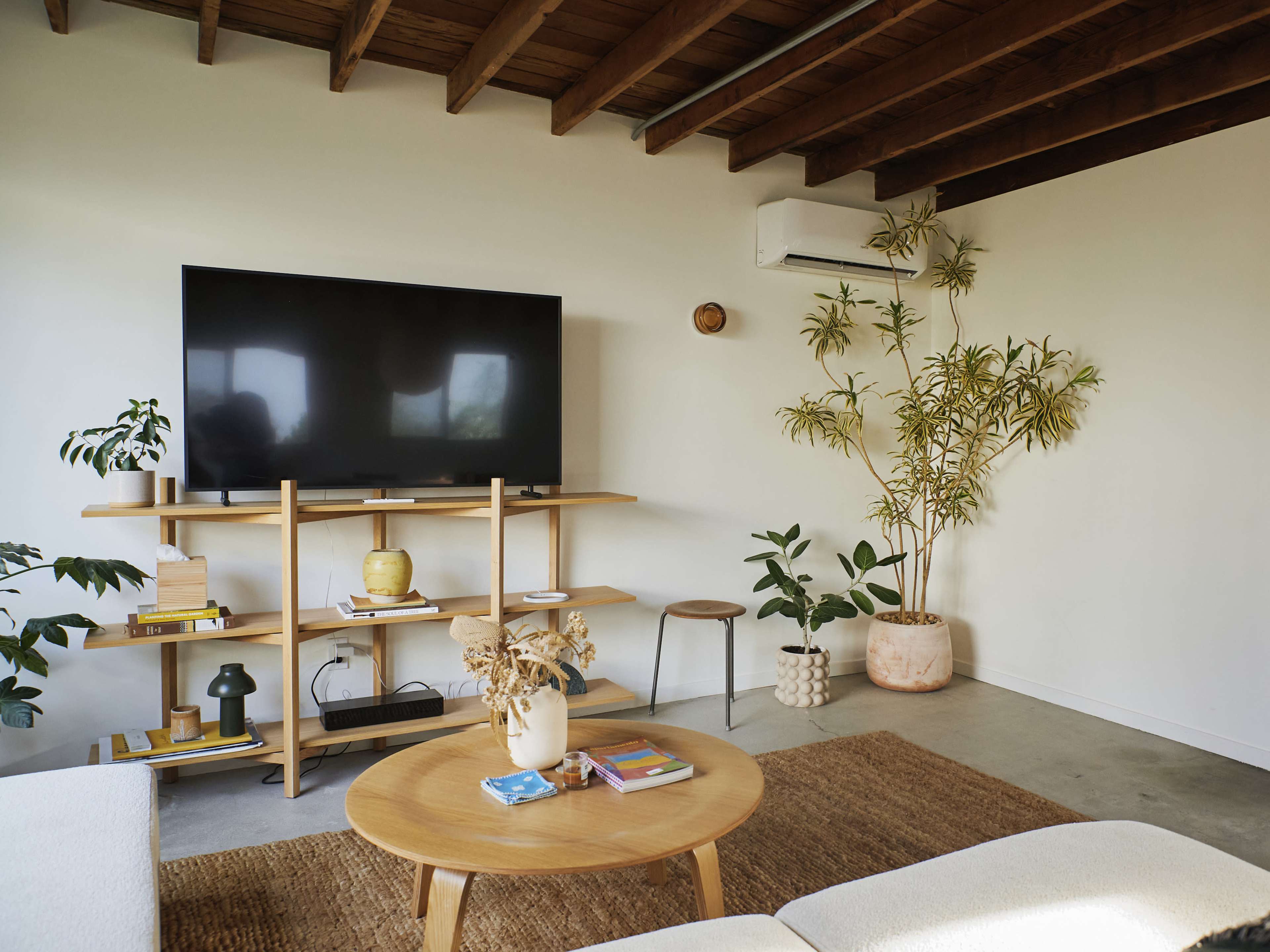 The image shows a modern living room with a large TV mounted on a wooden shelf, surrounded by plants and a round coffee table on a woven rug.