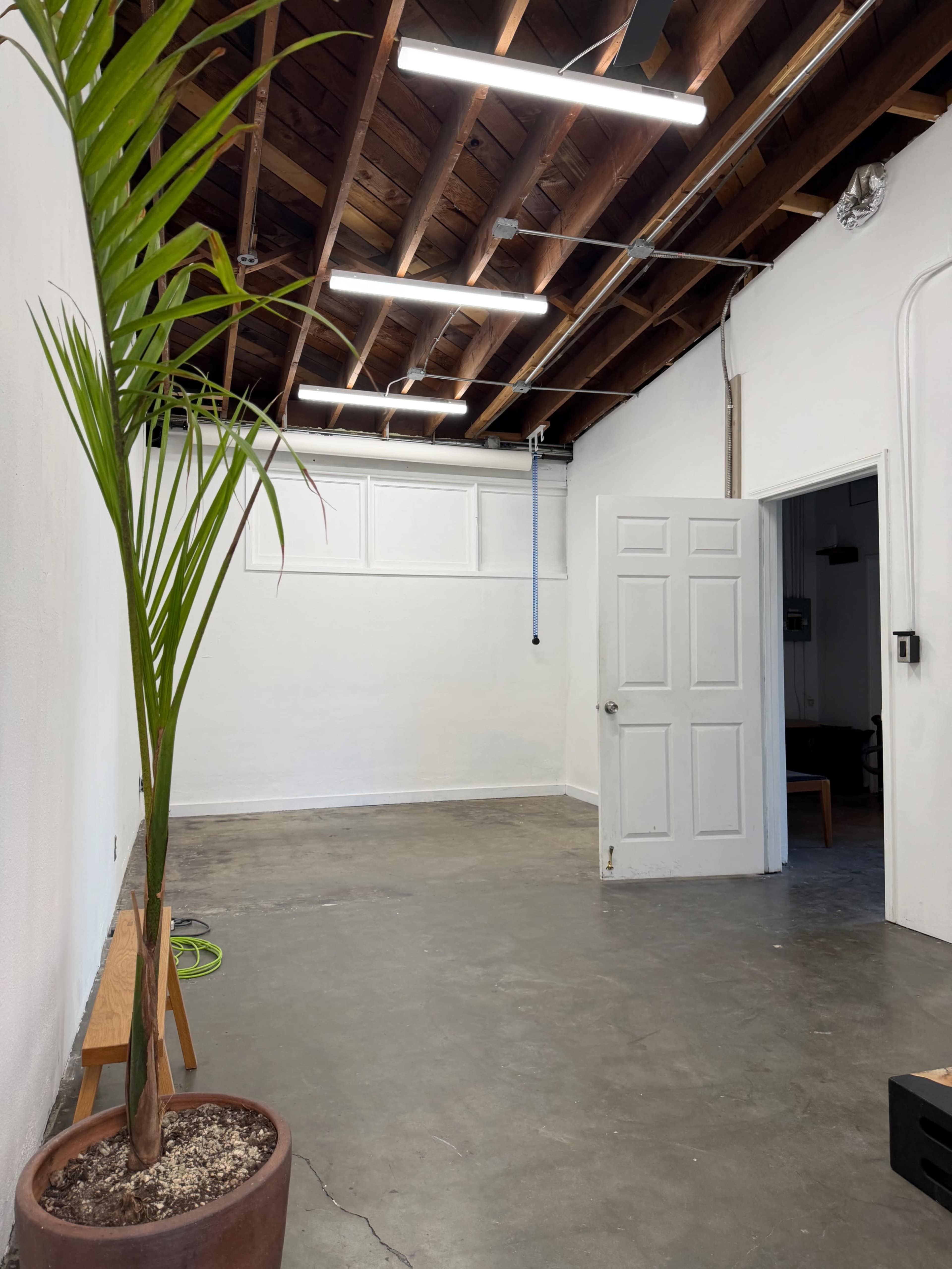 An empty room features a palm plant in a pot, concrete flooring, and a partially open door leading to another space.
