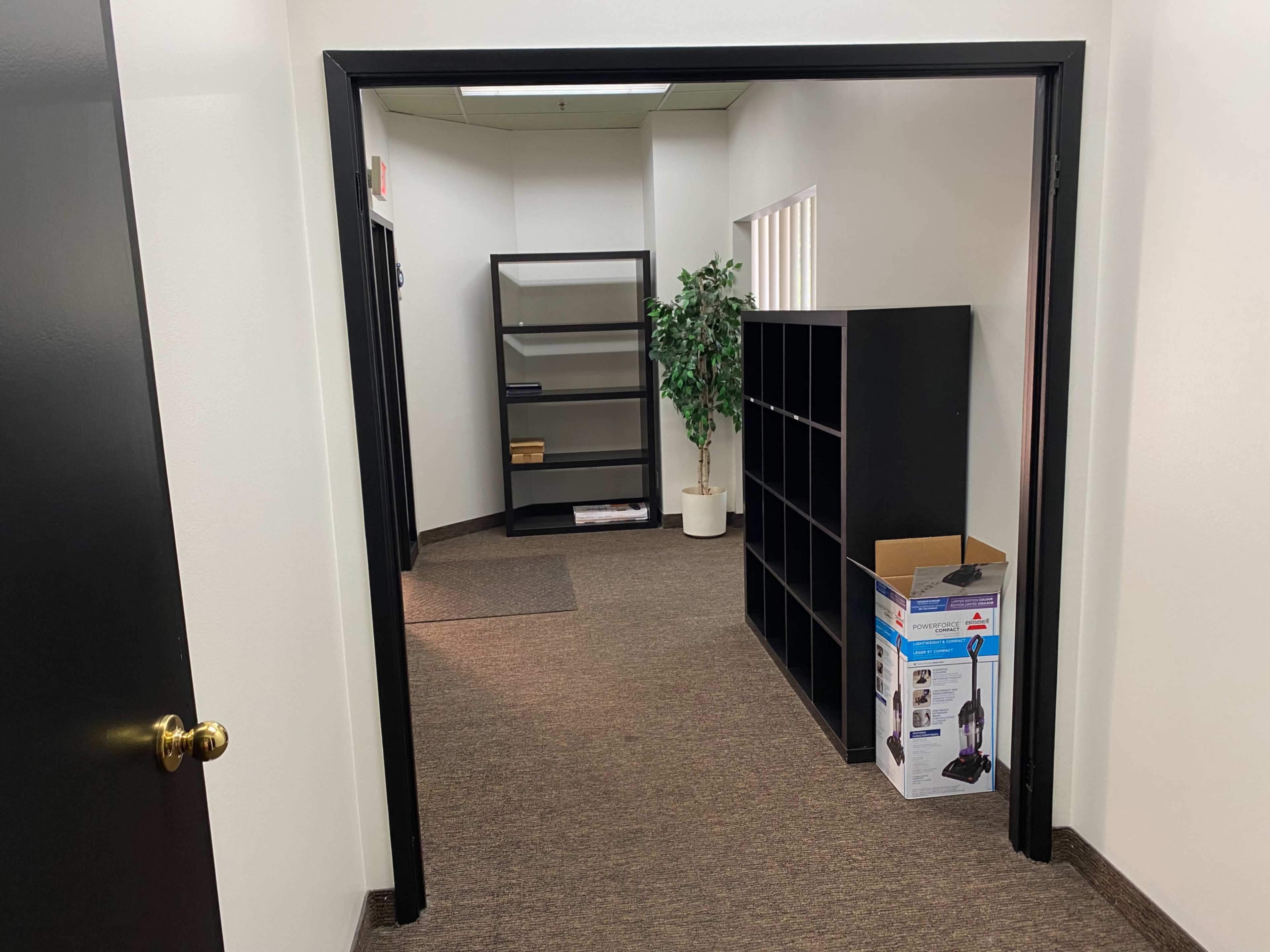 A corridor leads to a room with empty shelves, a potted plant, and a box on the floor.