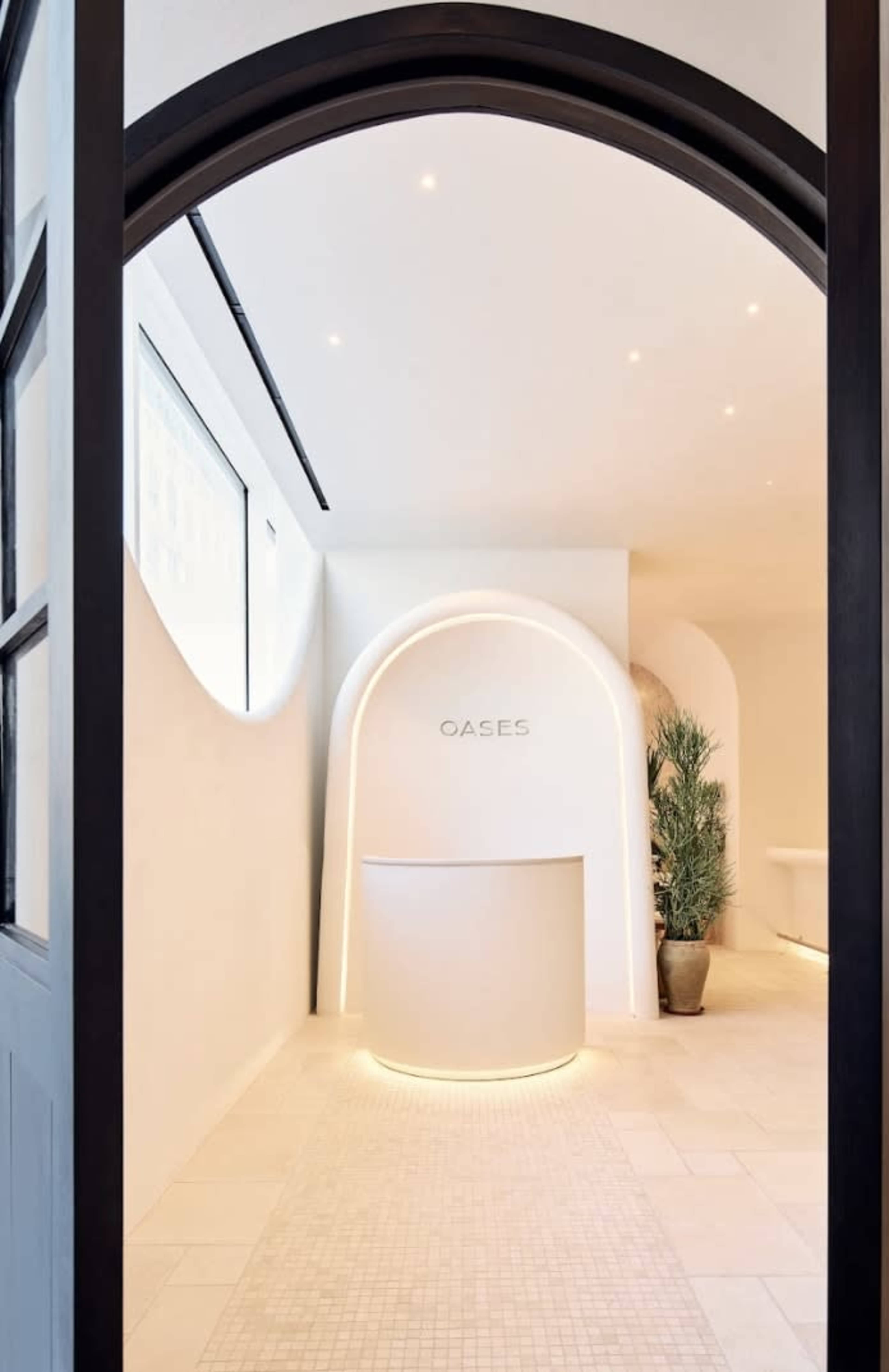 The image shows a minimalist reception area with a curved archway, a light-colored counter, and plants in a tranquil setting.