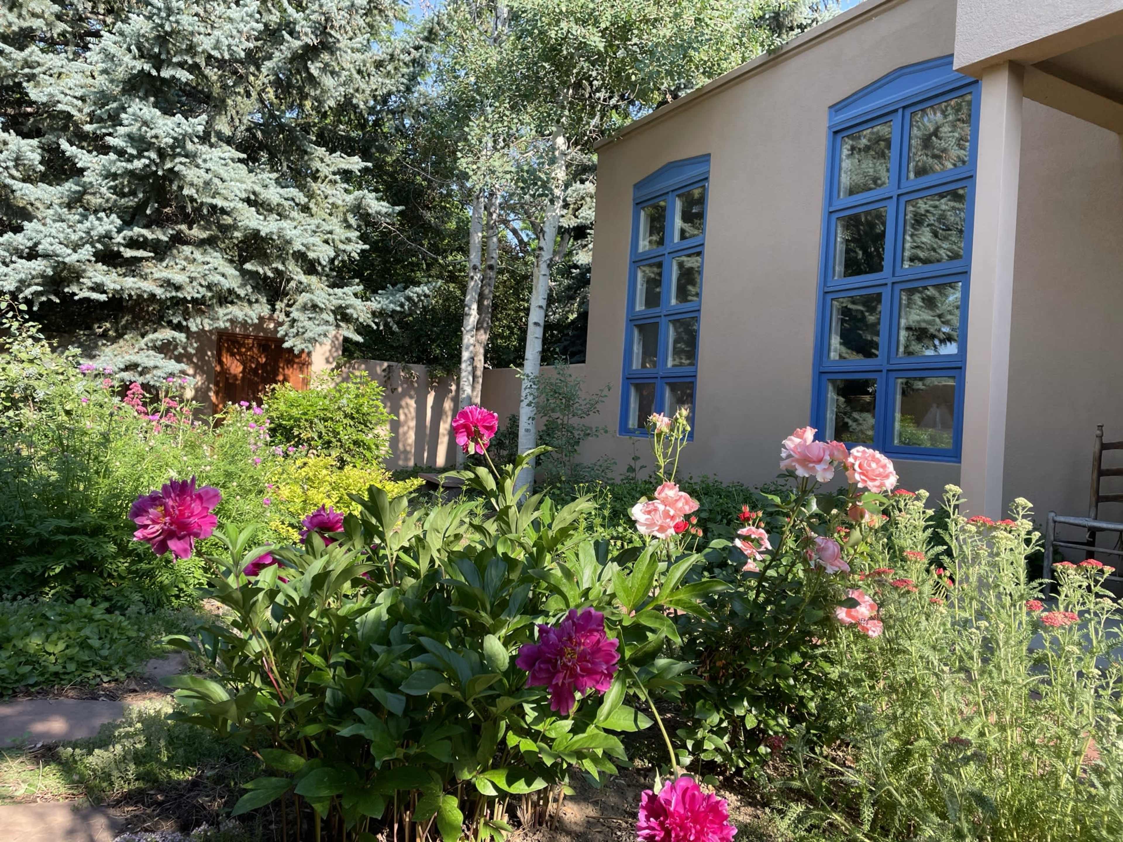 A garden with blooming pink and purple flowers surrounds a house with blue-framed windows.