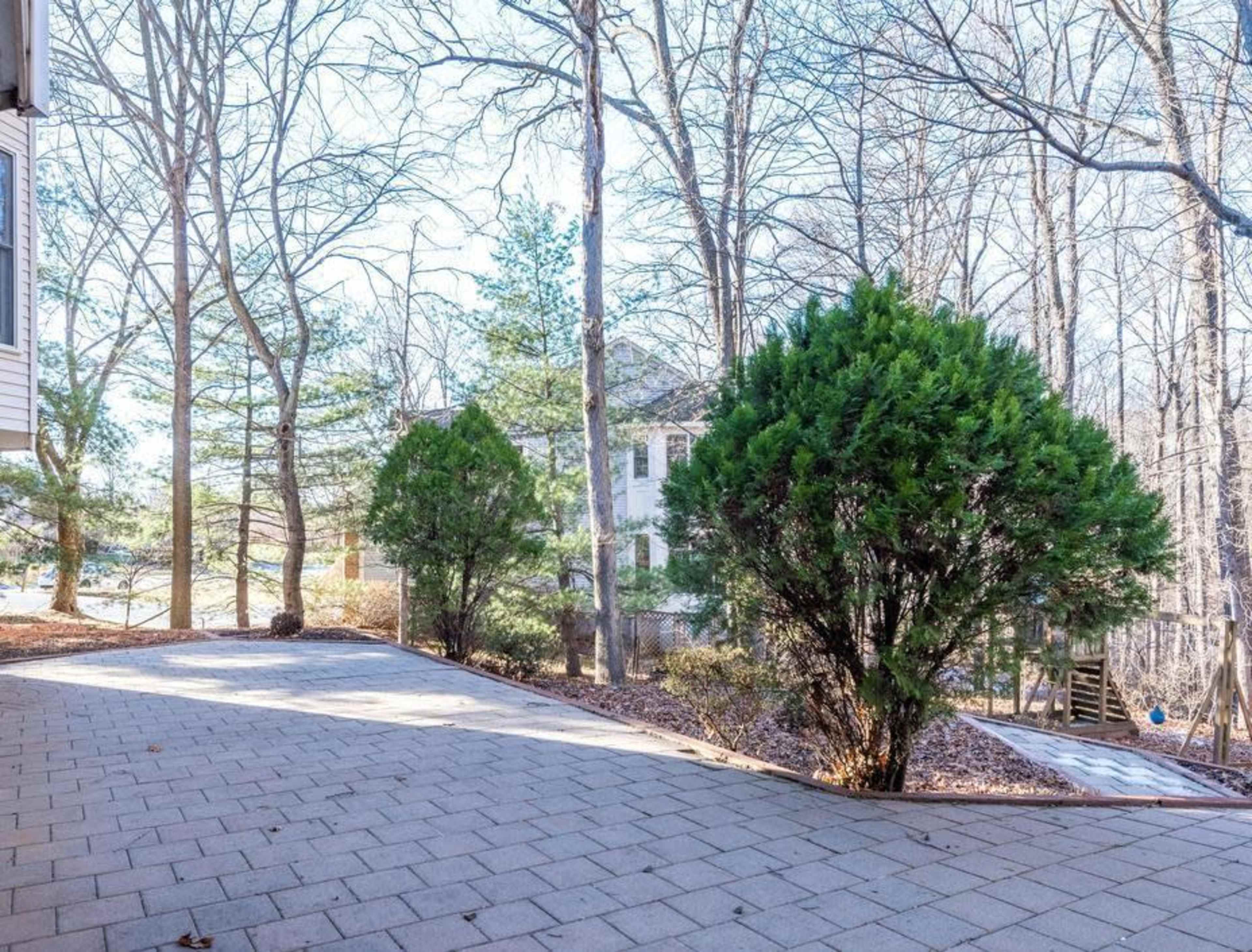 The image shows a paved outdoor area surrounded by bare trees and a green shrub, with a house partially visible in the background.