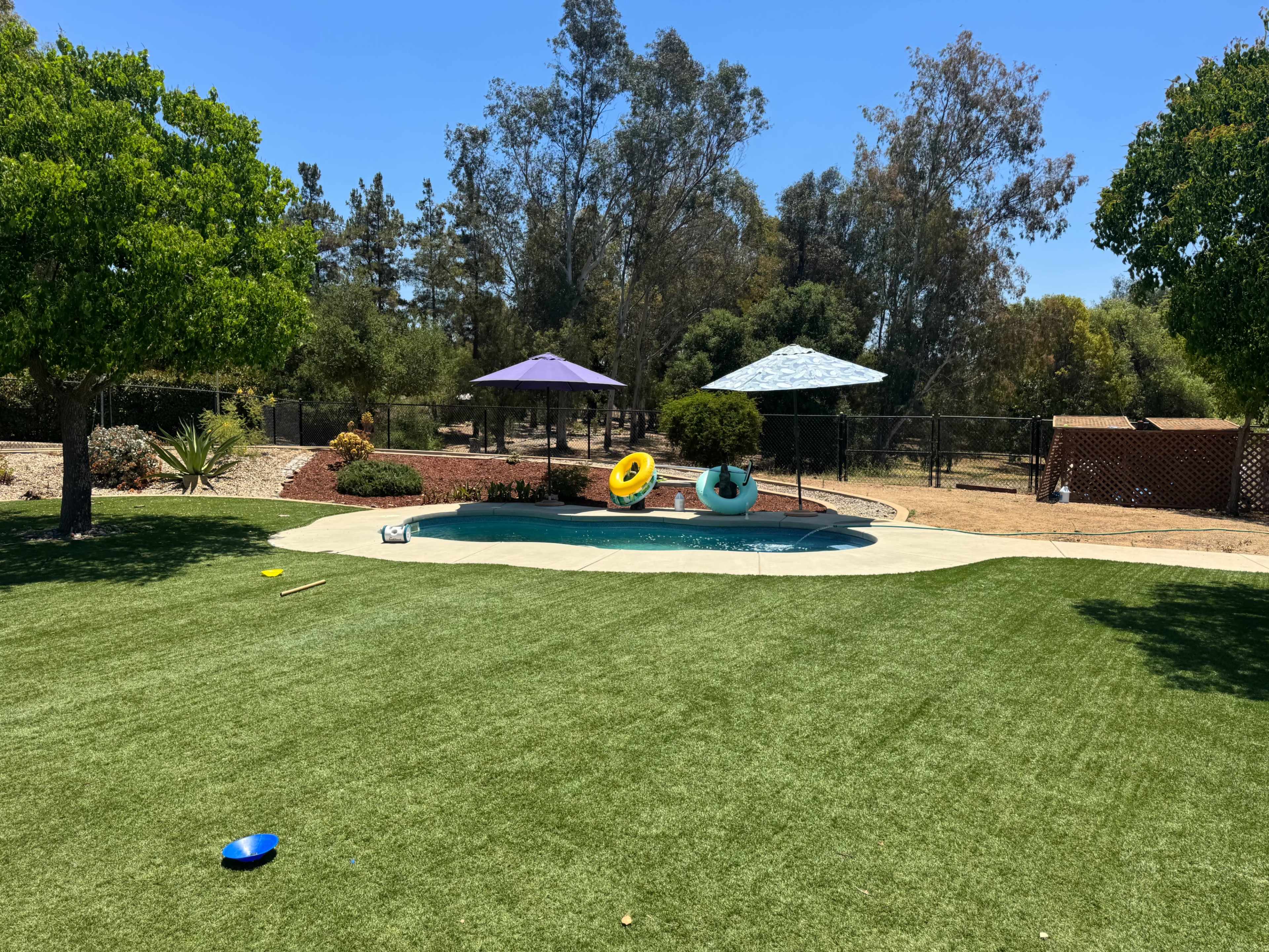 The scene features a swimming pool surrounded by green grass, with two colorful inflatable rings and two umbrellas in the background.