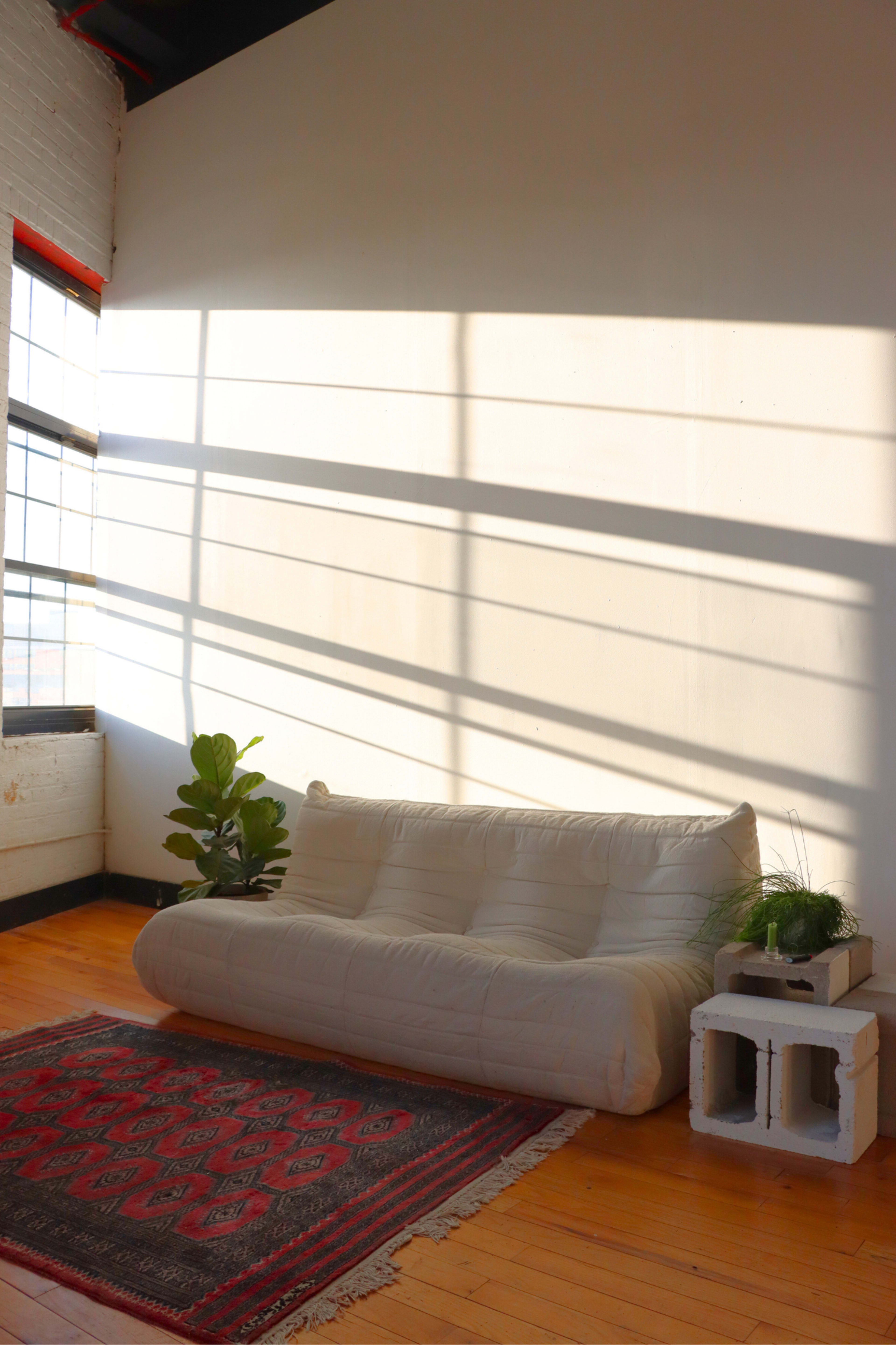 The image shows a light-filled room with a white sofa, a small indoor plant, and a patterned rug on a hardwood floor, with shadows cast on the wall.