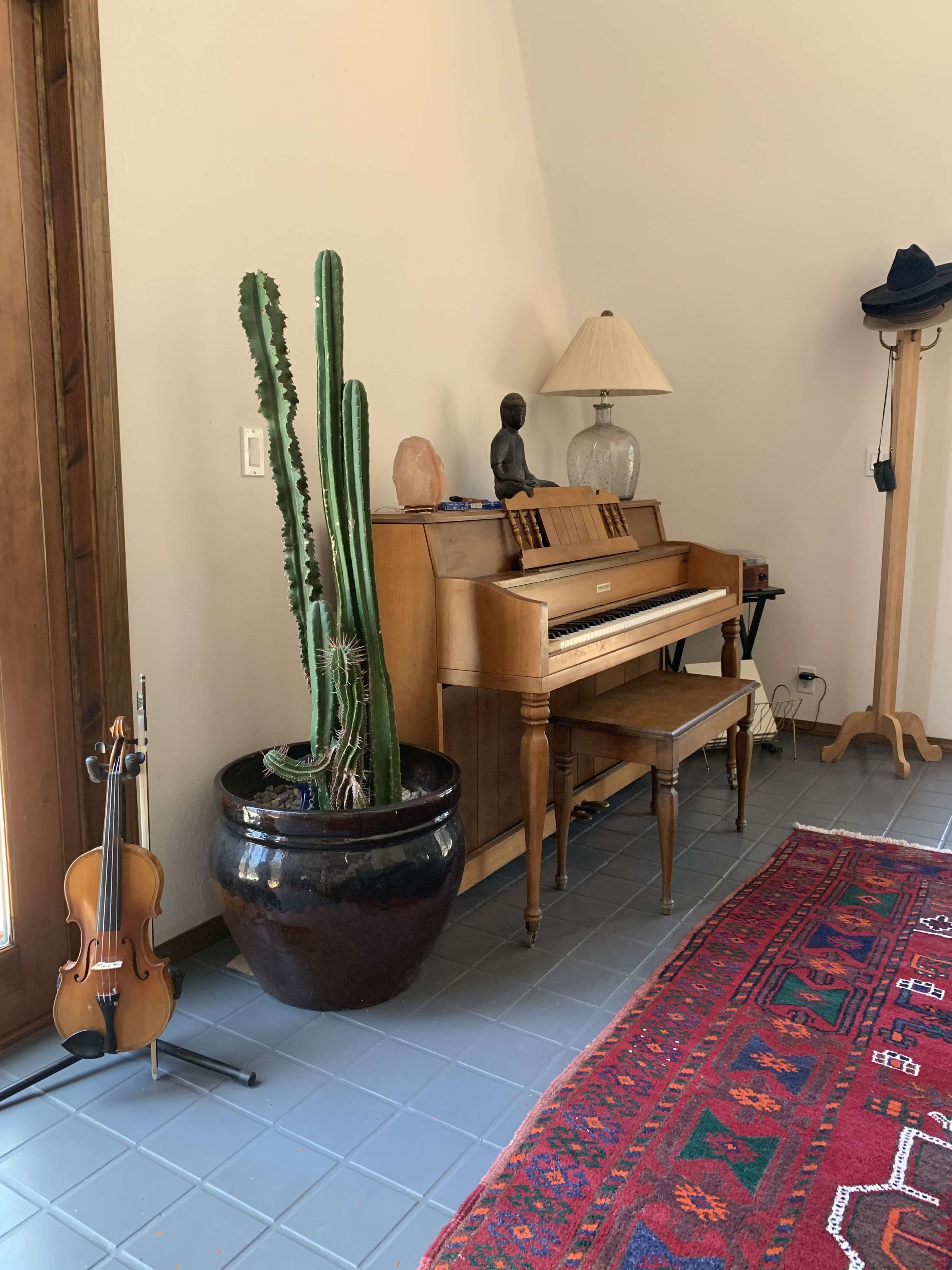 A wooden piano stands next to a tall cactus in a black pot, accompanied by a violin on a stand and a standing coat rack.