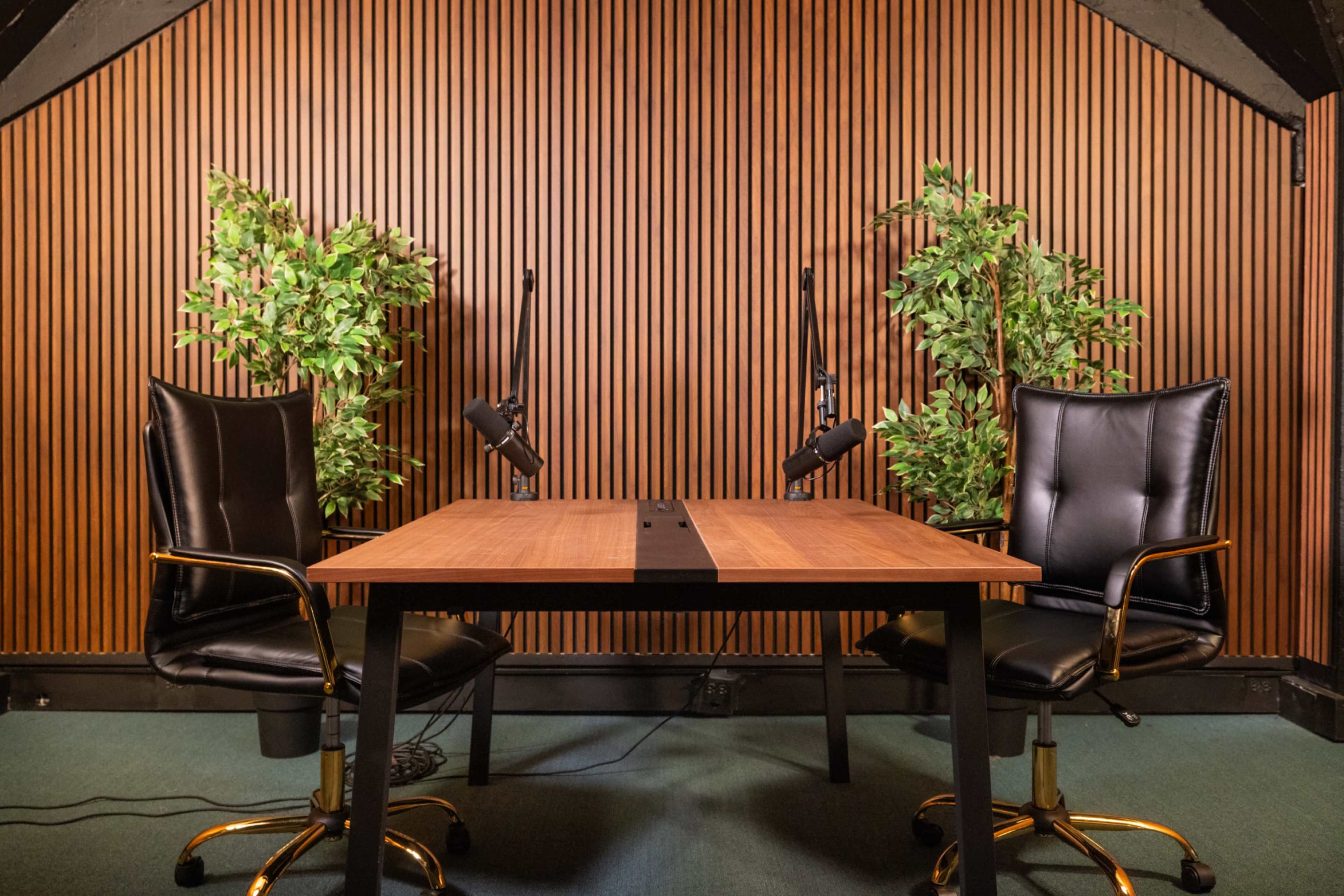 The image shows a podcasting studio setup with two black chairs, a wooden table, and acoustic paneling on the walls, accompanied by two microphone stands and potted plants on either side.
