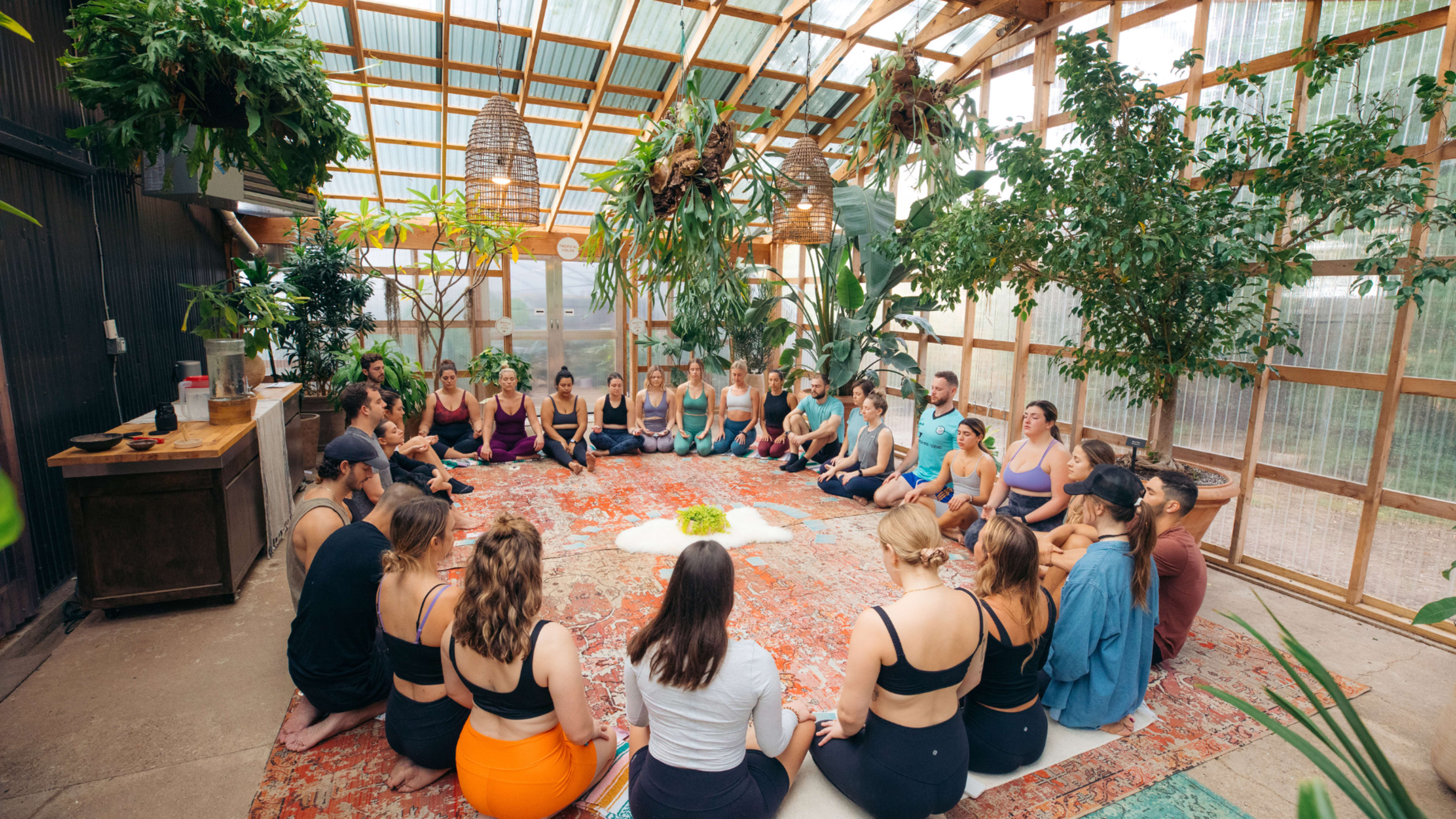A group of individuals sits in a circle on a large rug inside a greenhouse surrounded by plants.
