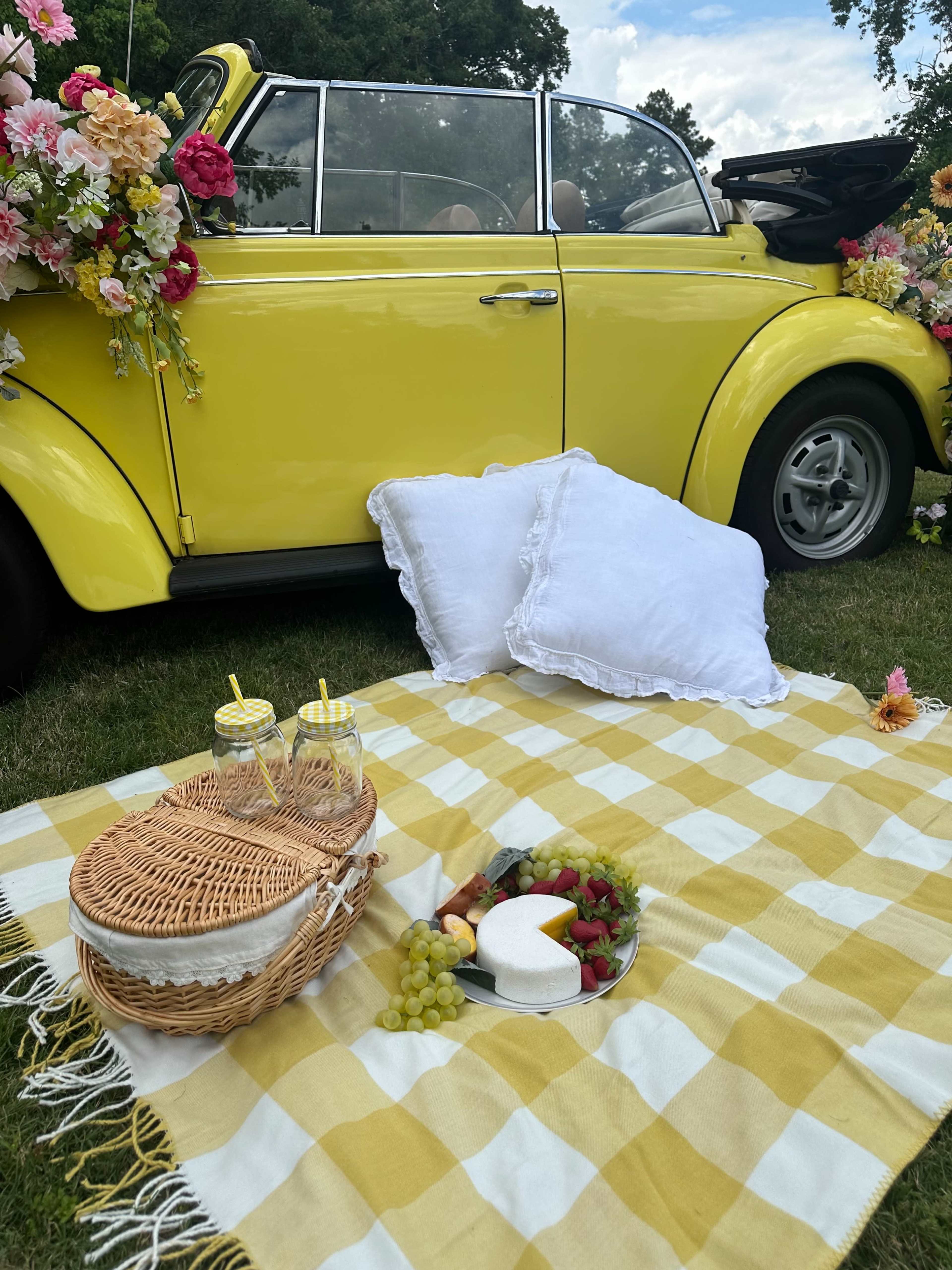 Spring Set - Love Bug Image in , Conroe, TX