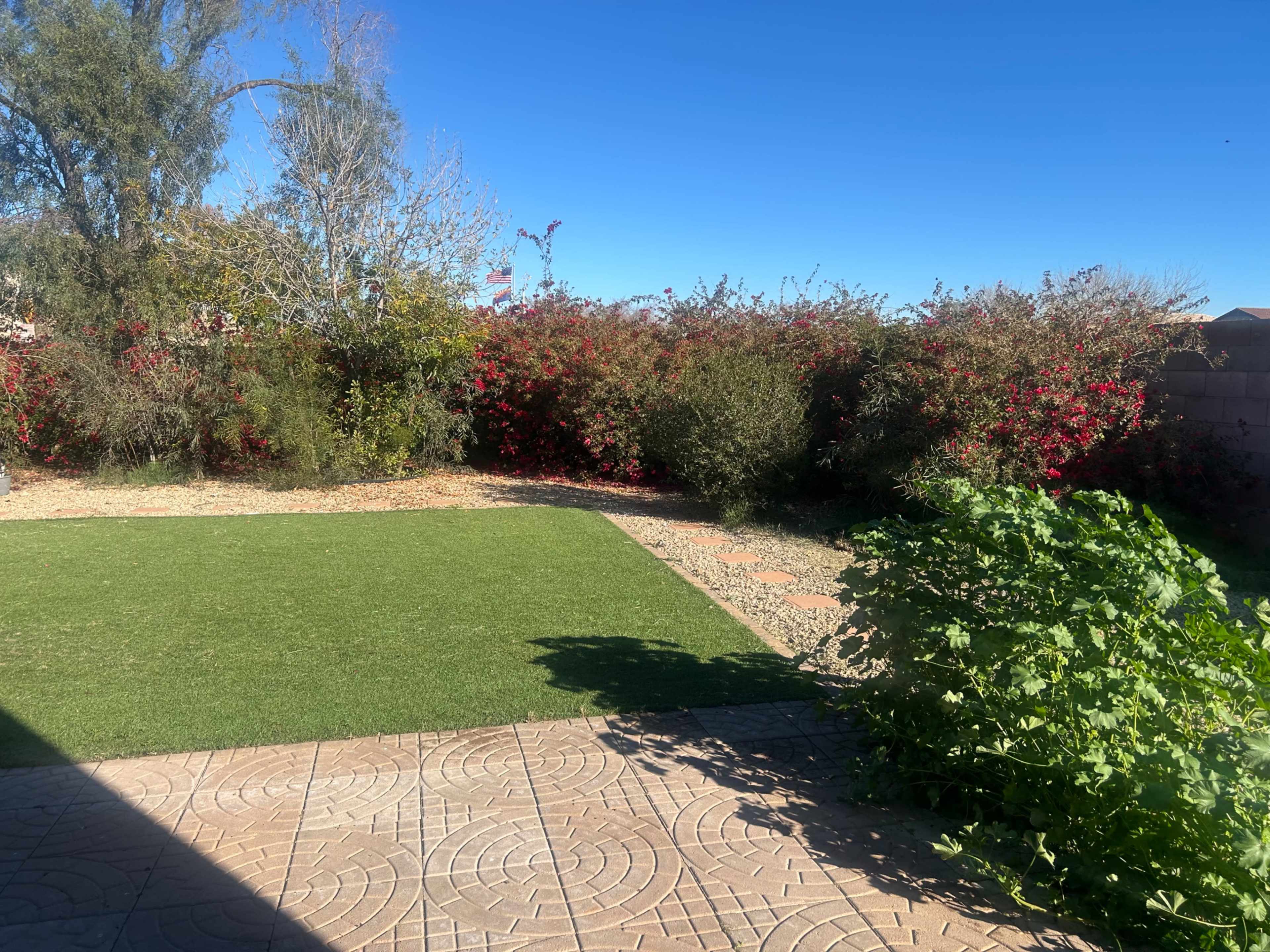 The image shows a backyard with a patch of green grass, a paved patio area, and flowering shrubs in the background under a clear blue sky.