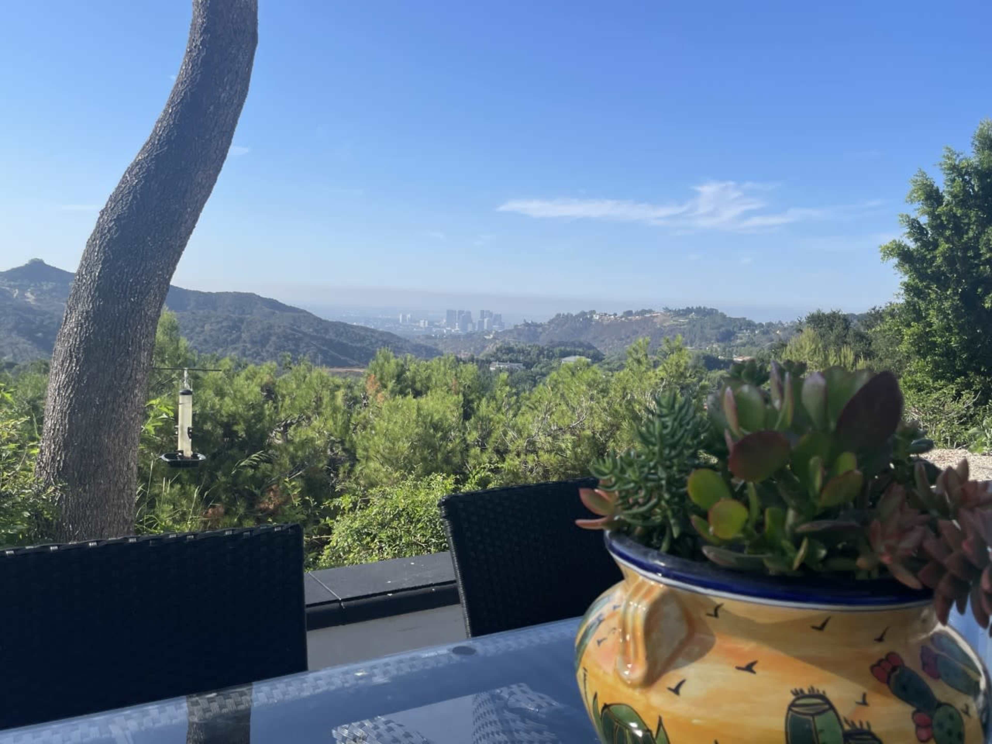A panoramic view of a city skyline from a hillside terrace, featuring greenery and a decorative pot on a table.