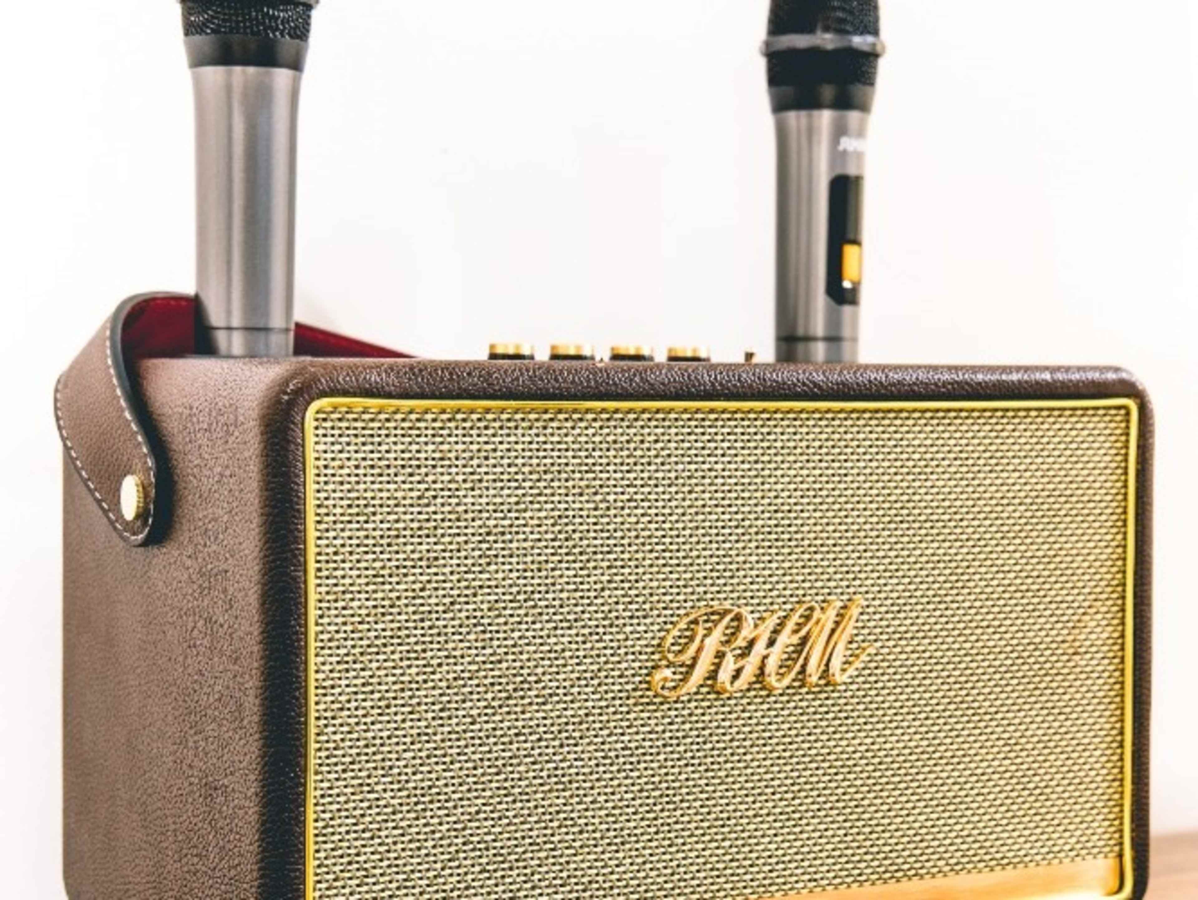 Portable Speaker and Microphone