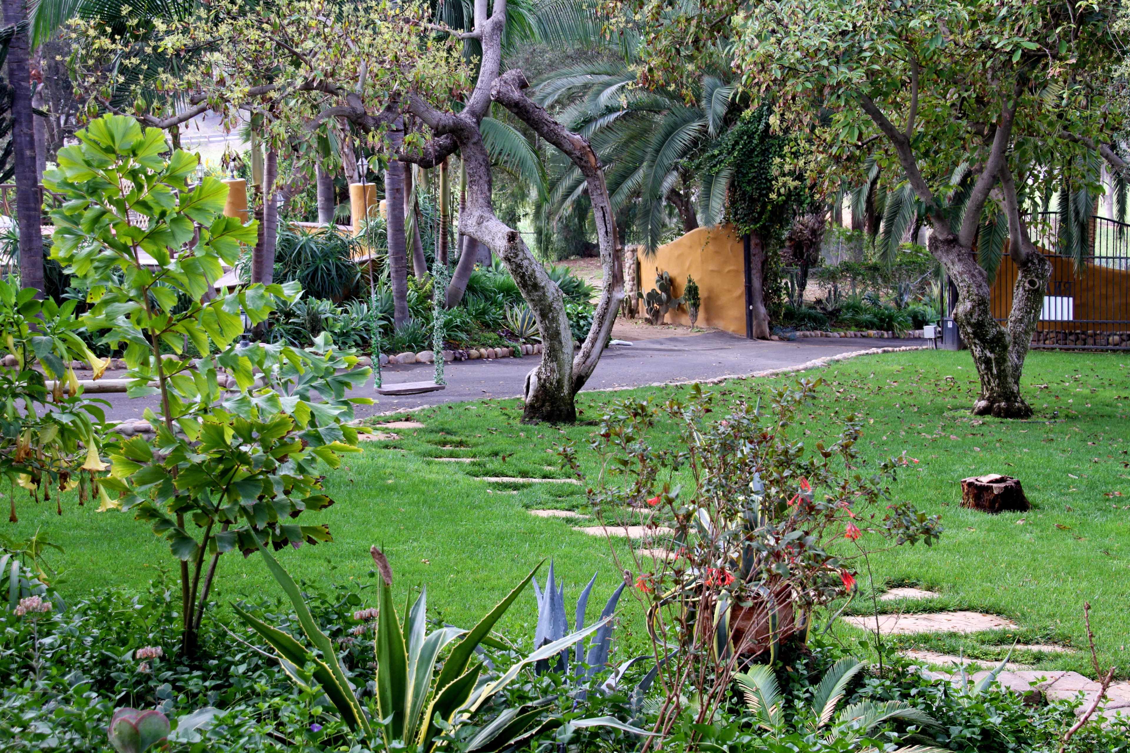 A landscaped garden with pathways, trees, and plants leading to a paved road.