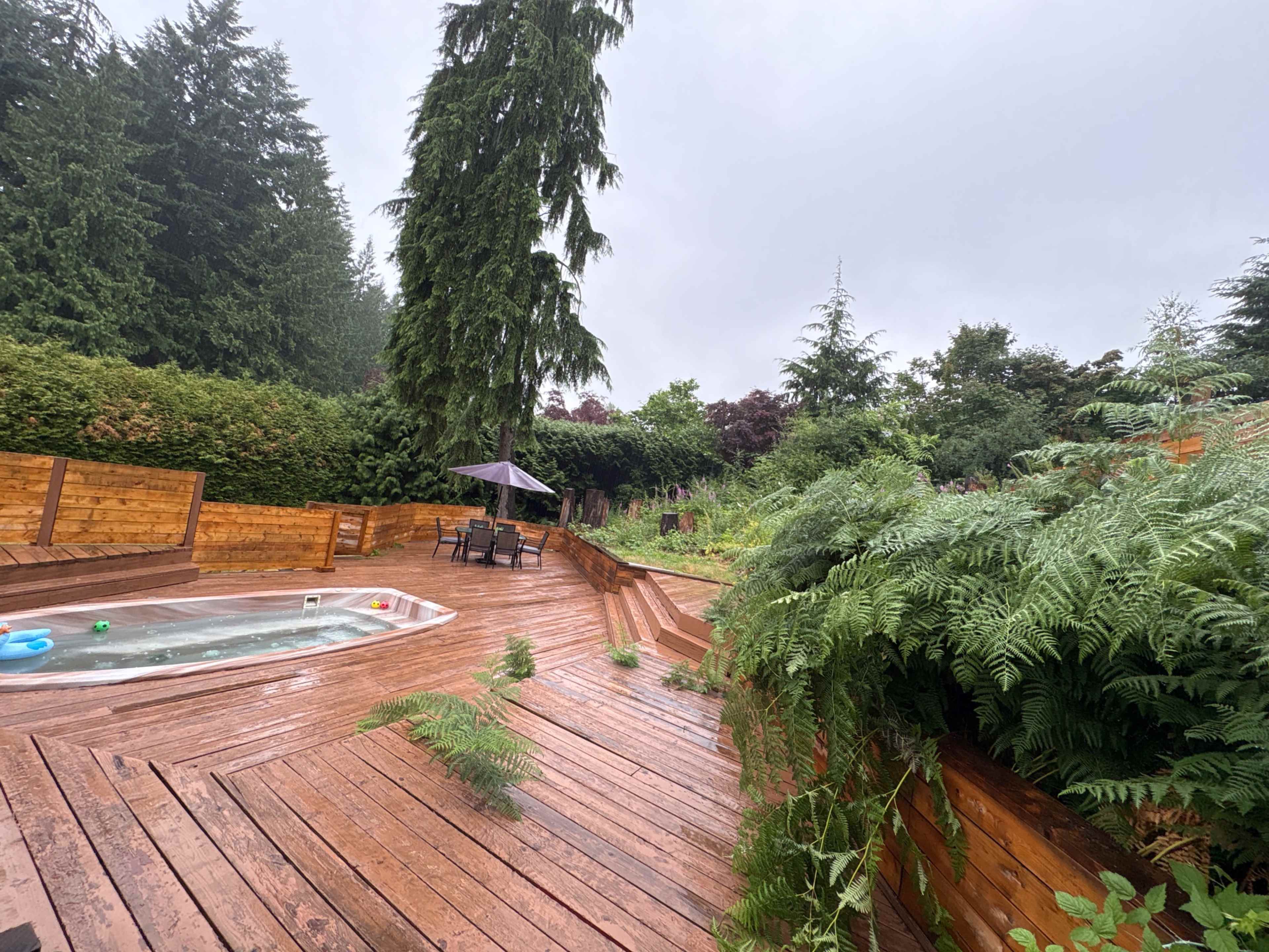 The image depicts a wooden deck with a small pool, surrounded by lush greenery and tall trees, on a rainy day.