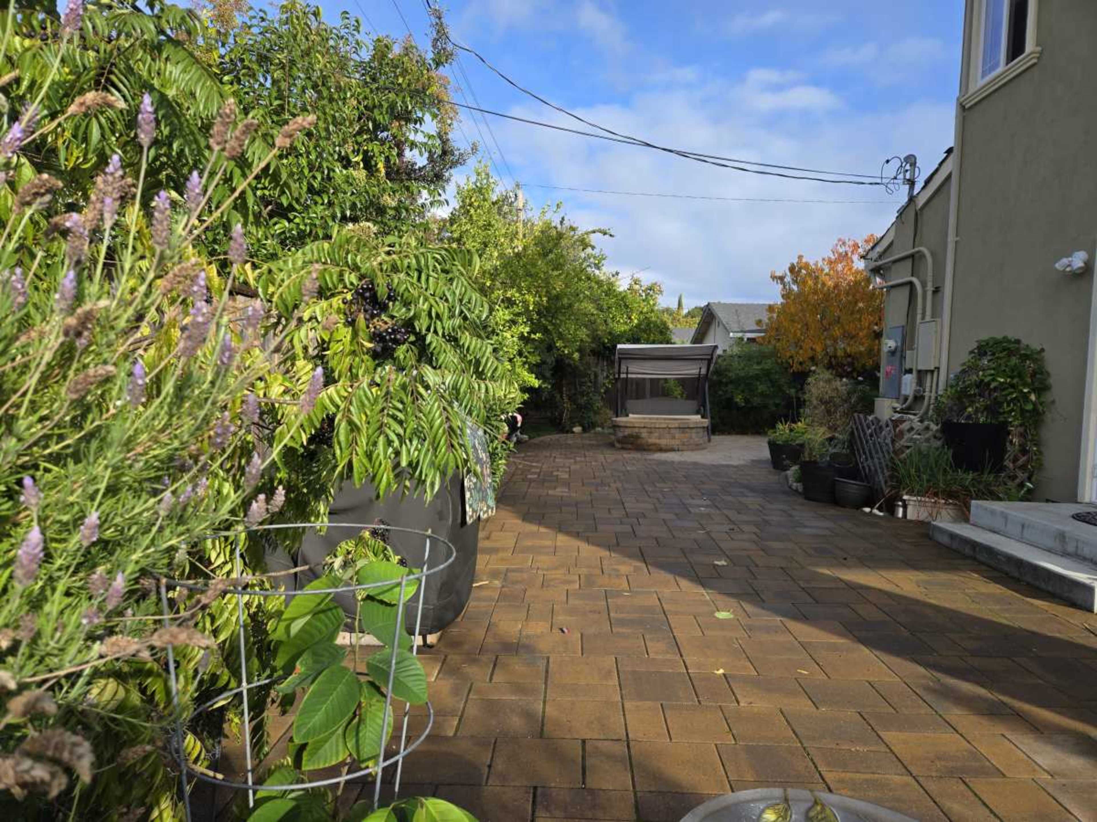 A green cozy backyard with fireplace Image in Joaquin Miller, SAN JOSE, CA