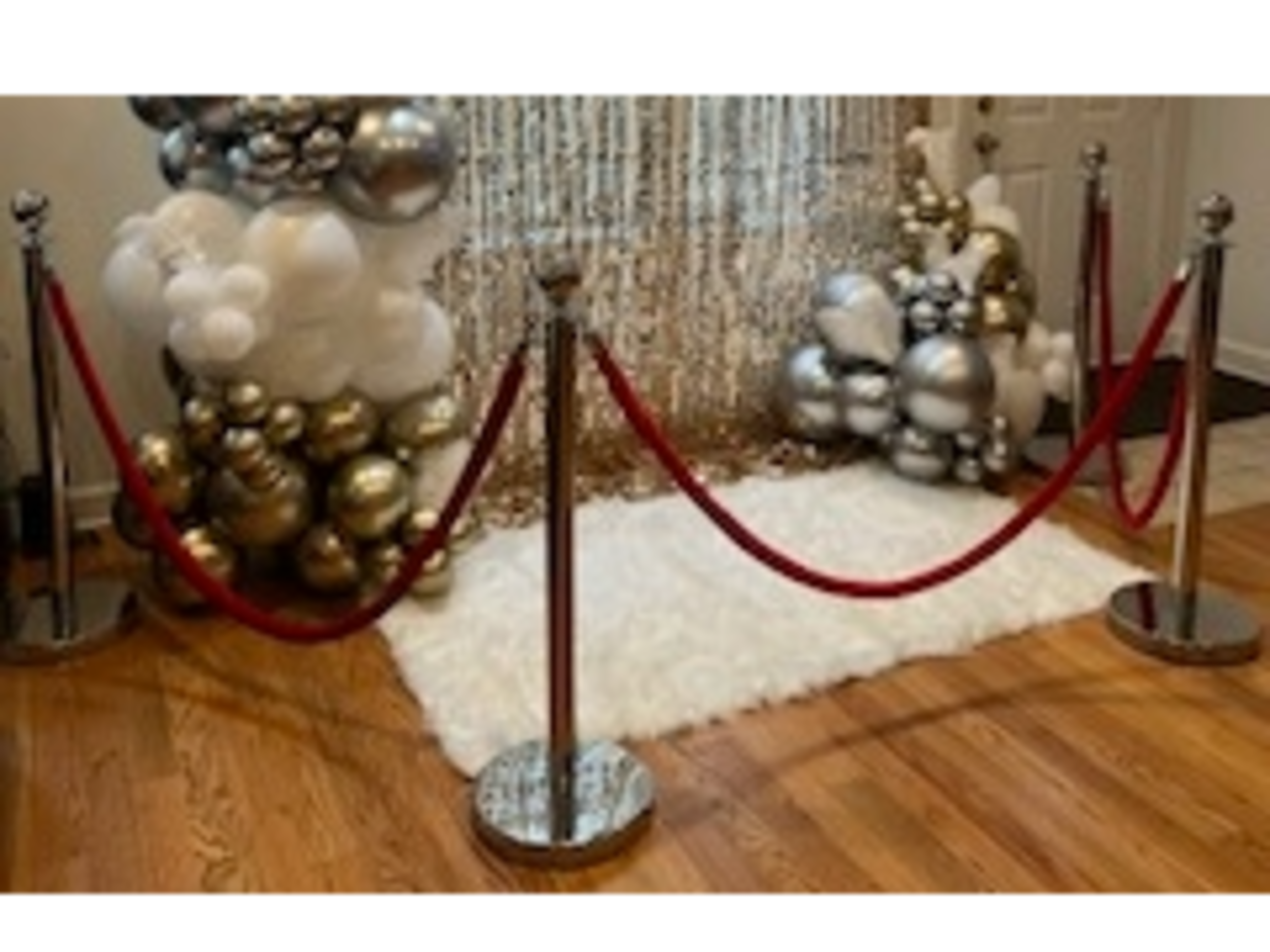 Velvet Rope and Stanchion Set 