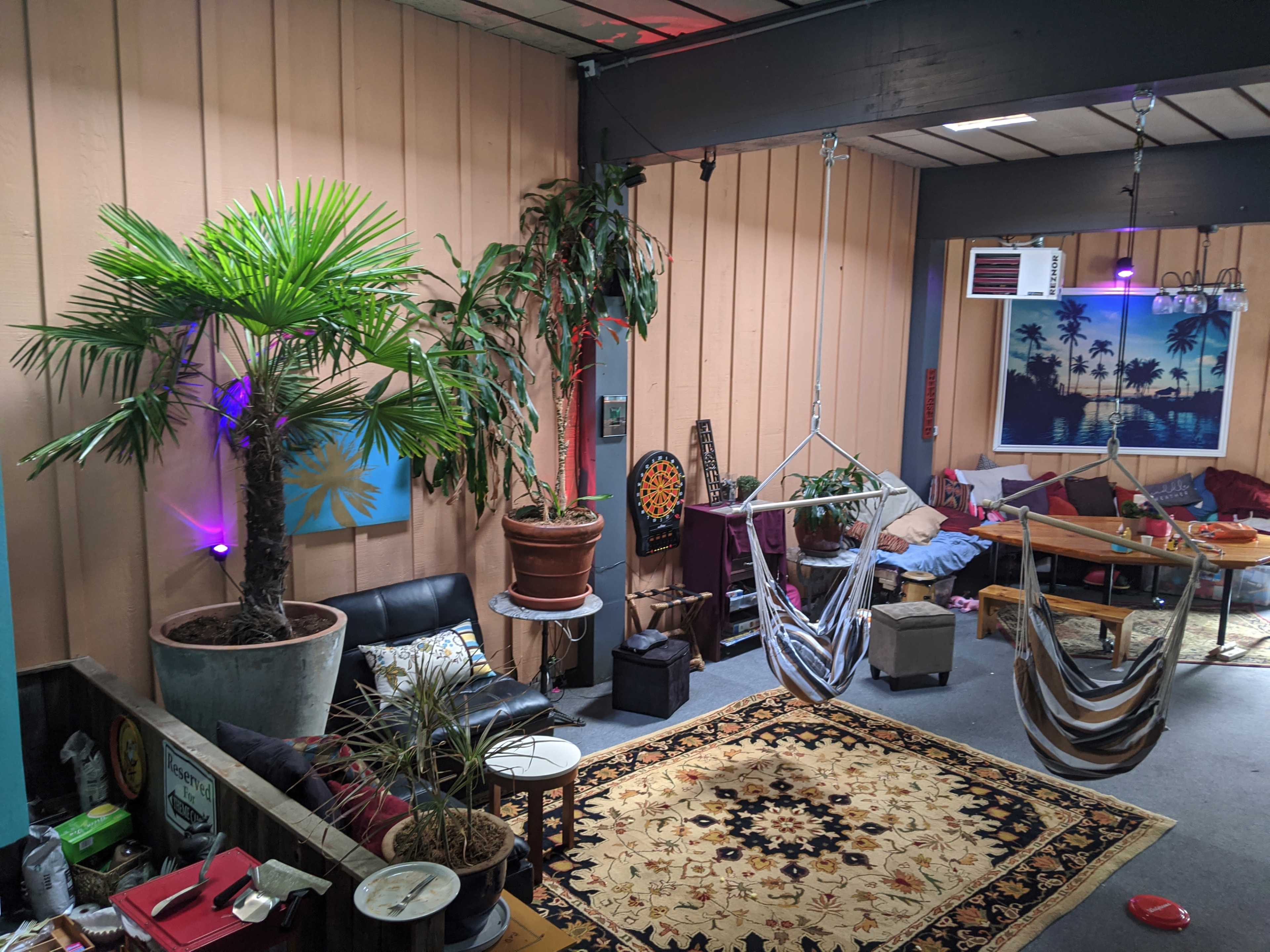 A cozy indoor space featuring a large palm plant, hanging hammocks, a patterned rug, and seating areas with casual furniture.