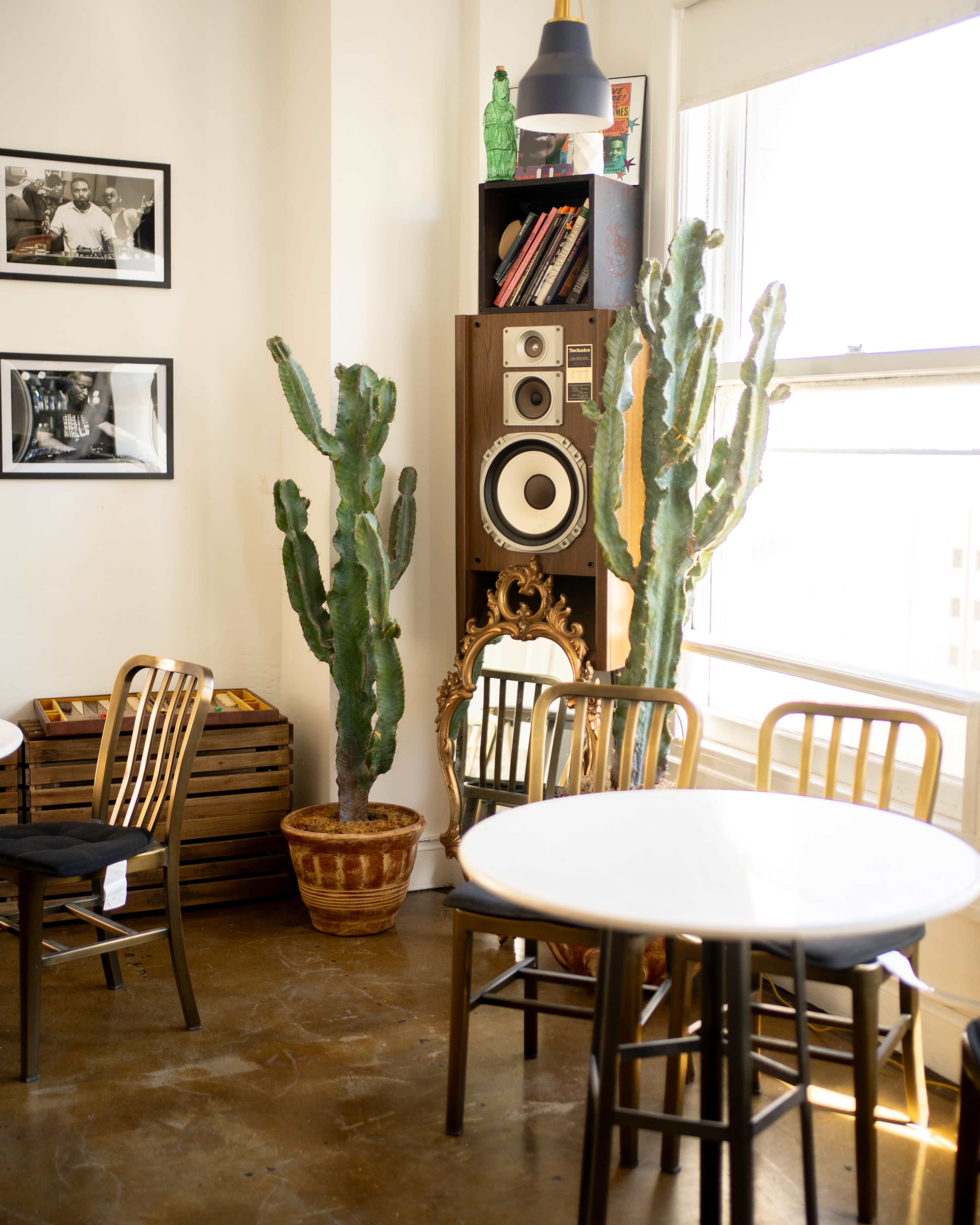 The image shows a corner of a cafe featuring a round white table, wooden chairs, and two tall cacti next to a wooden shelving unit containing a speaker and decorative items.