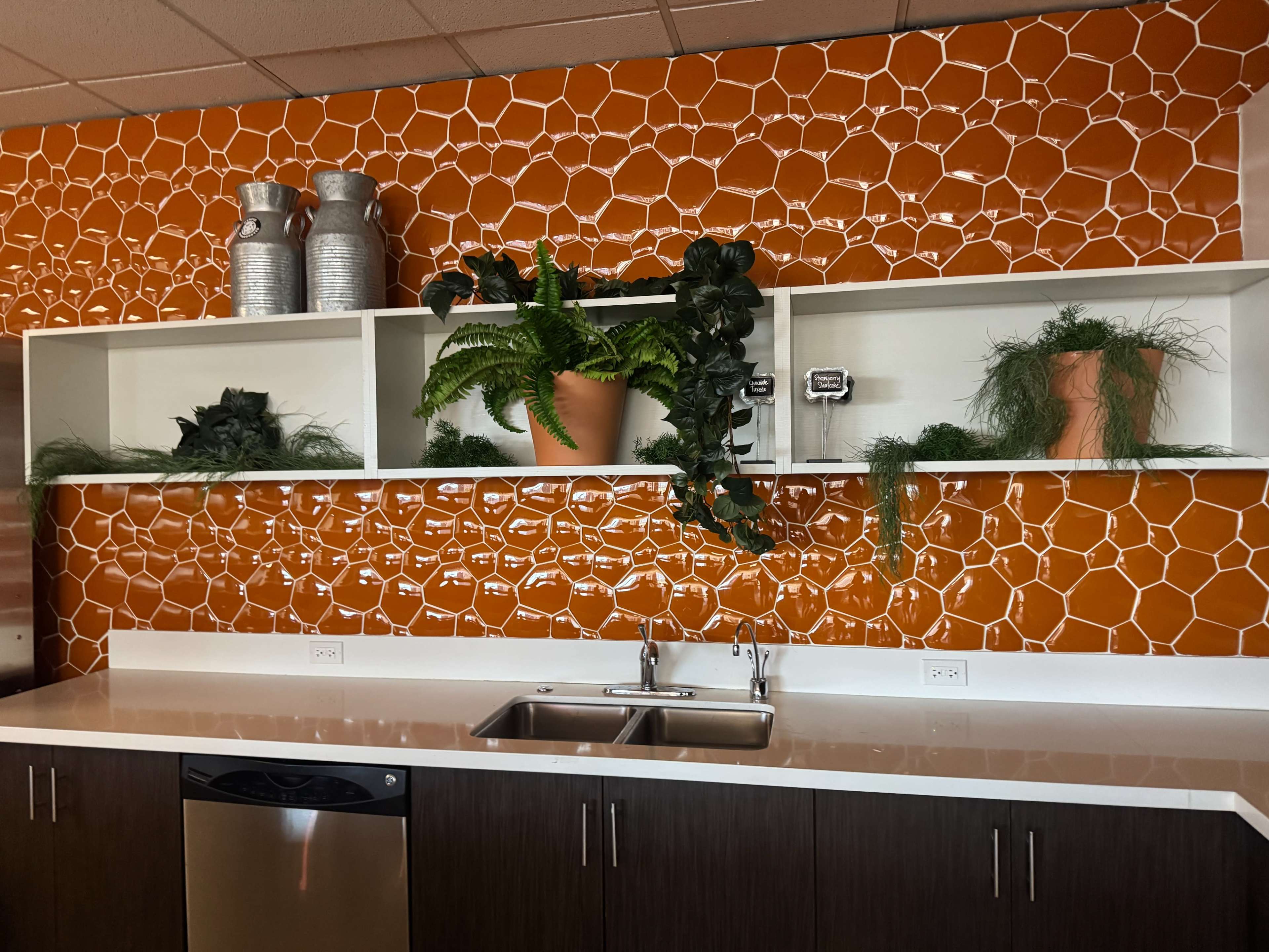 A modern kitchen features a bright orange hexagonal tile backsplash, white open shelves with potted plants, and a stainless steel sink with a silver dishwasher underneath.