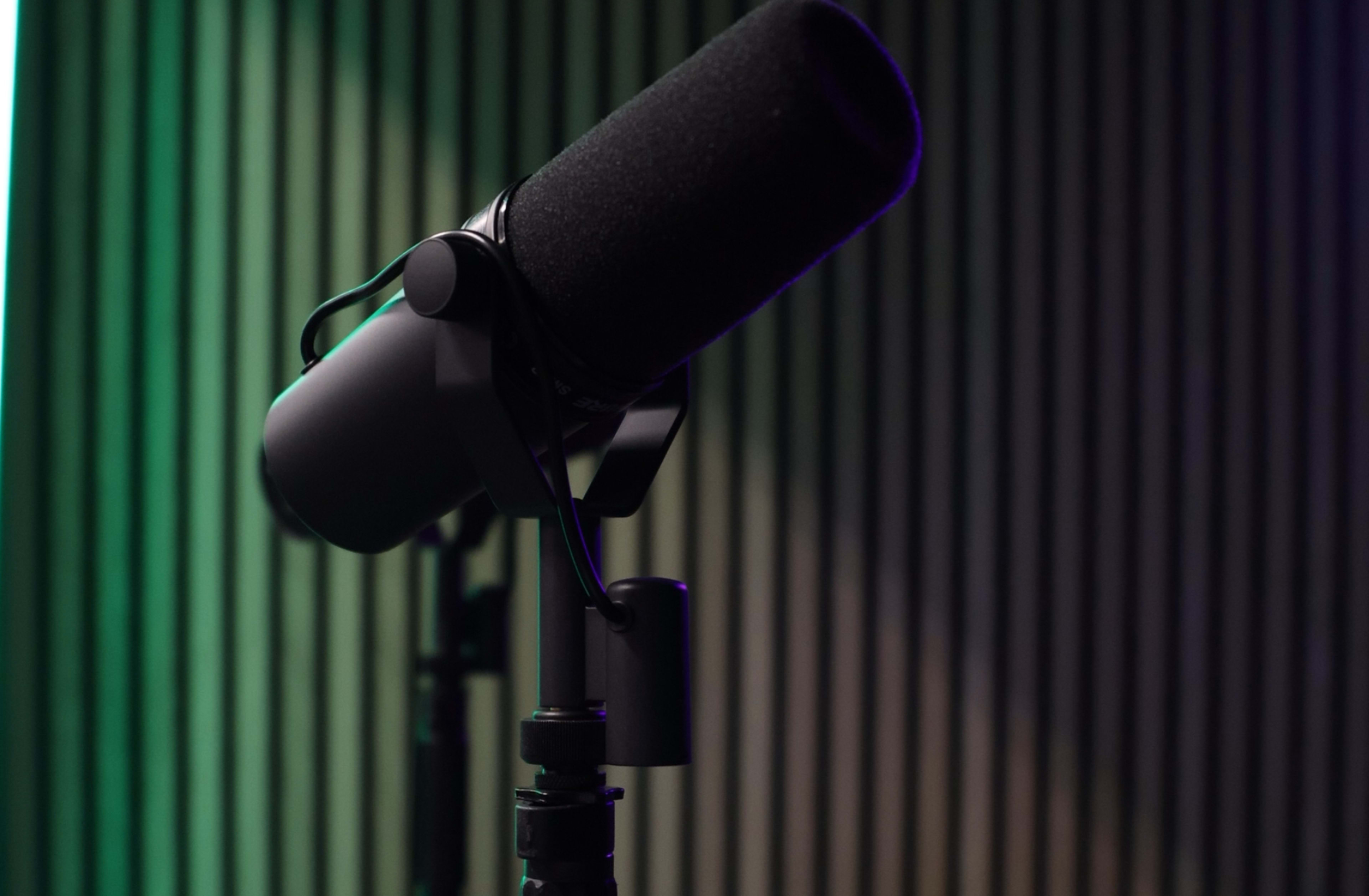 A microphone is positioned on a stand in front of a backdrop of vertical, colored panels.