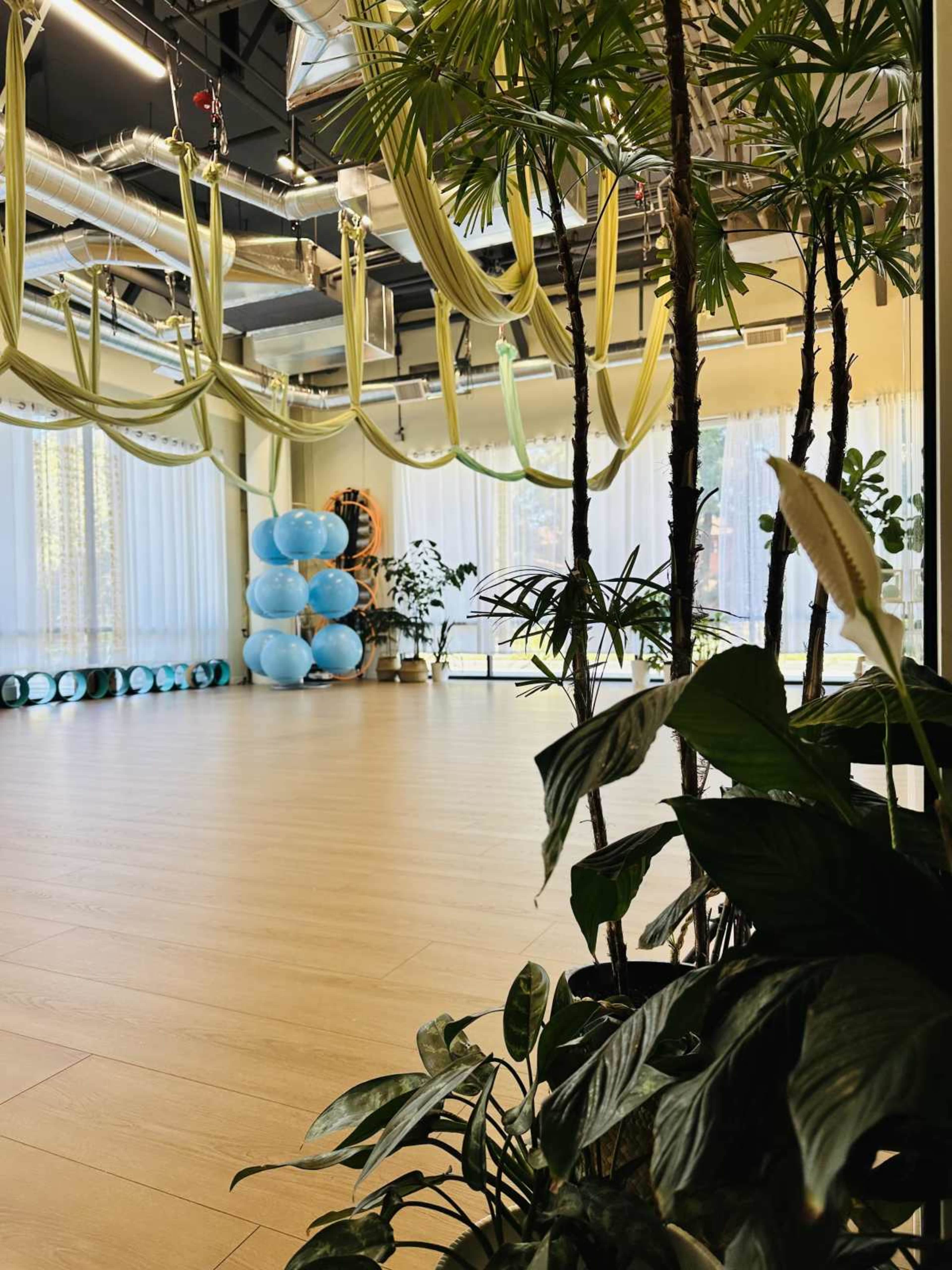 Bright and vibrant new space nearby Sunnyvale Image in Sunnyvale West, Sunnyvale, CA