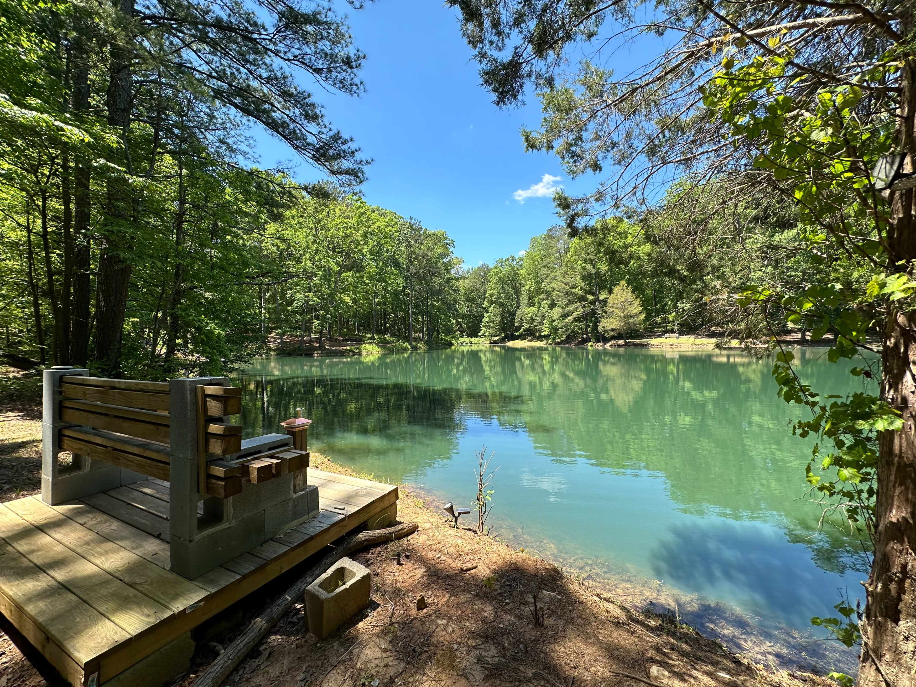 A wooden bench sits near a calm, green-tinted lake surrounded by dense trees under a clear blue sky.