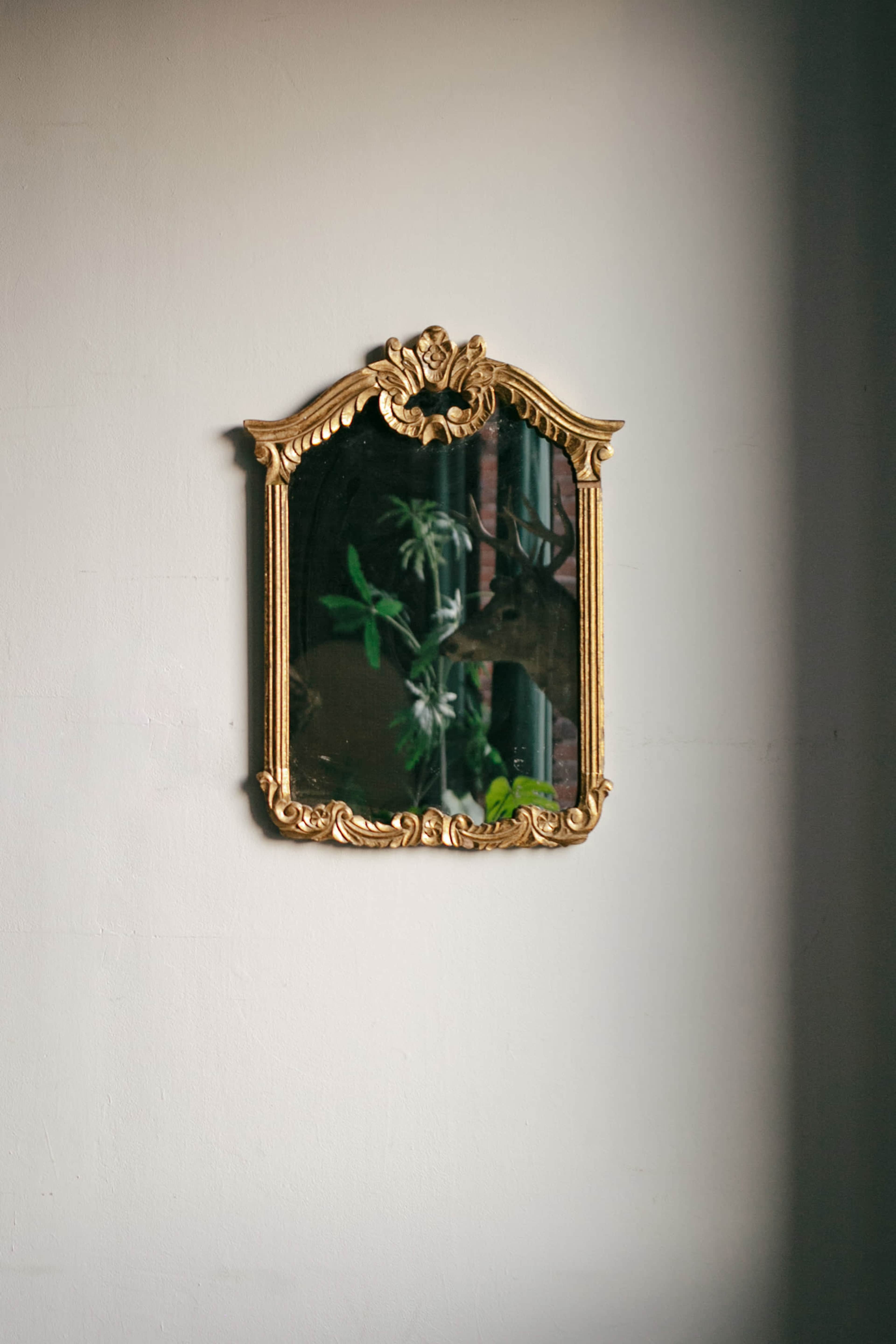 A vintage gold-framed mirror reflects a deer and some green foliage.