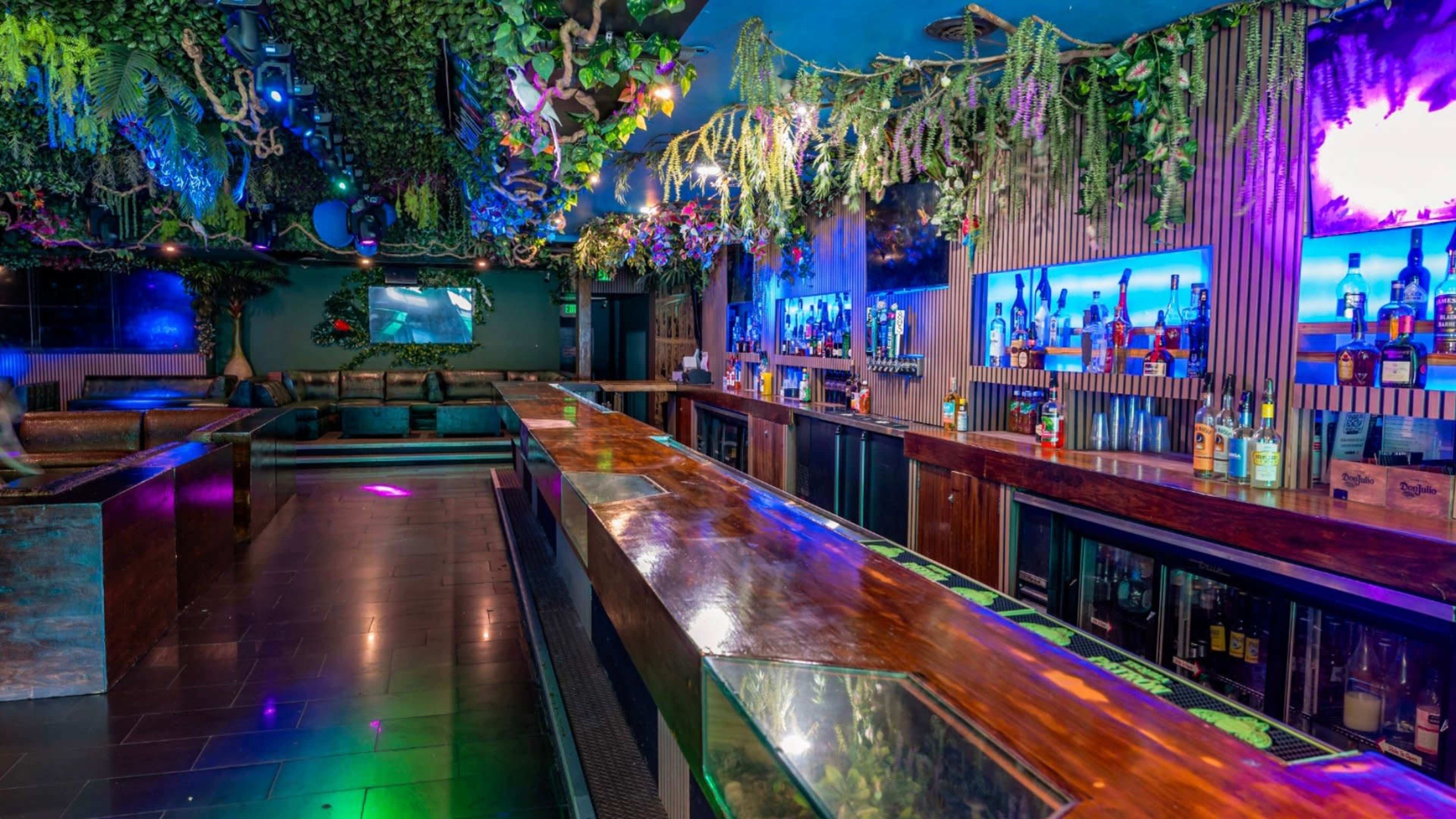 A vibrant bar area adorned with greenery and colorful lights, featuring a long wooden counter and shelves stocked with various bottles.