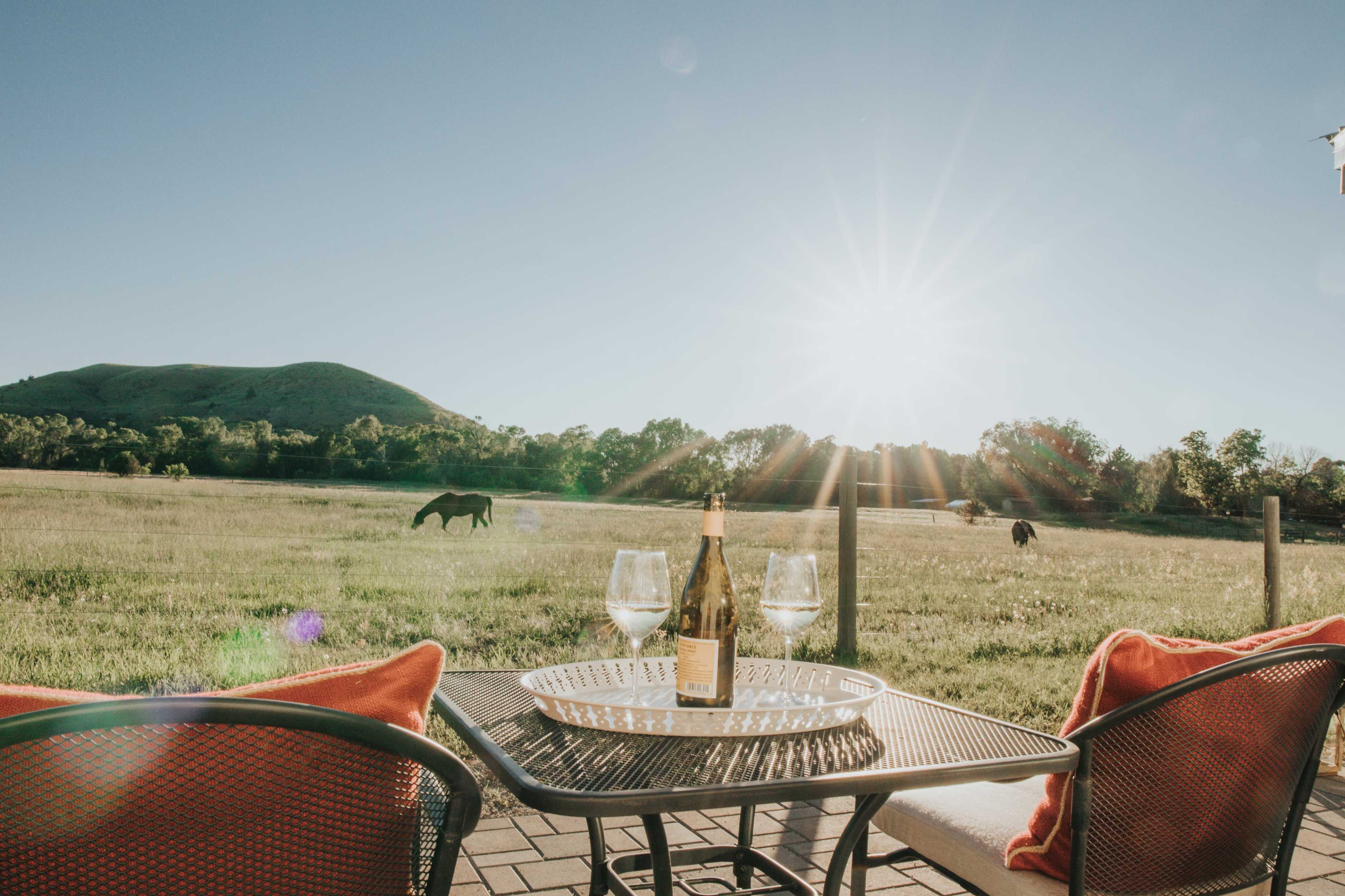 A bottle of champagne and two glasses sit on a table beside a patio, overlooking a grassy field with horses and mountains in the background under a bright sun.