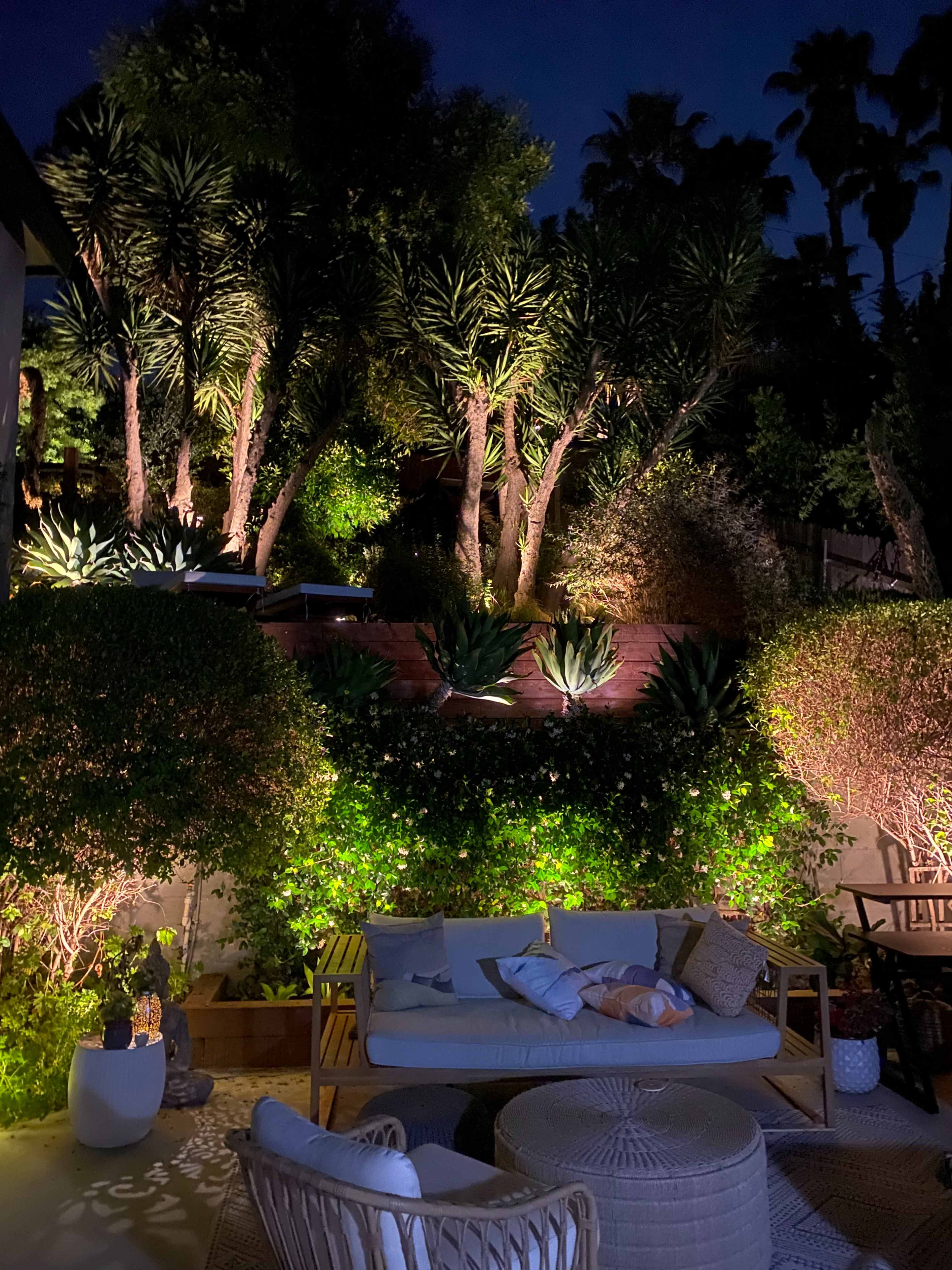 A cozy outdoor seating area surrounded by illuminated greenery and palm trees at night.