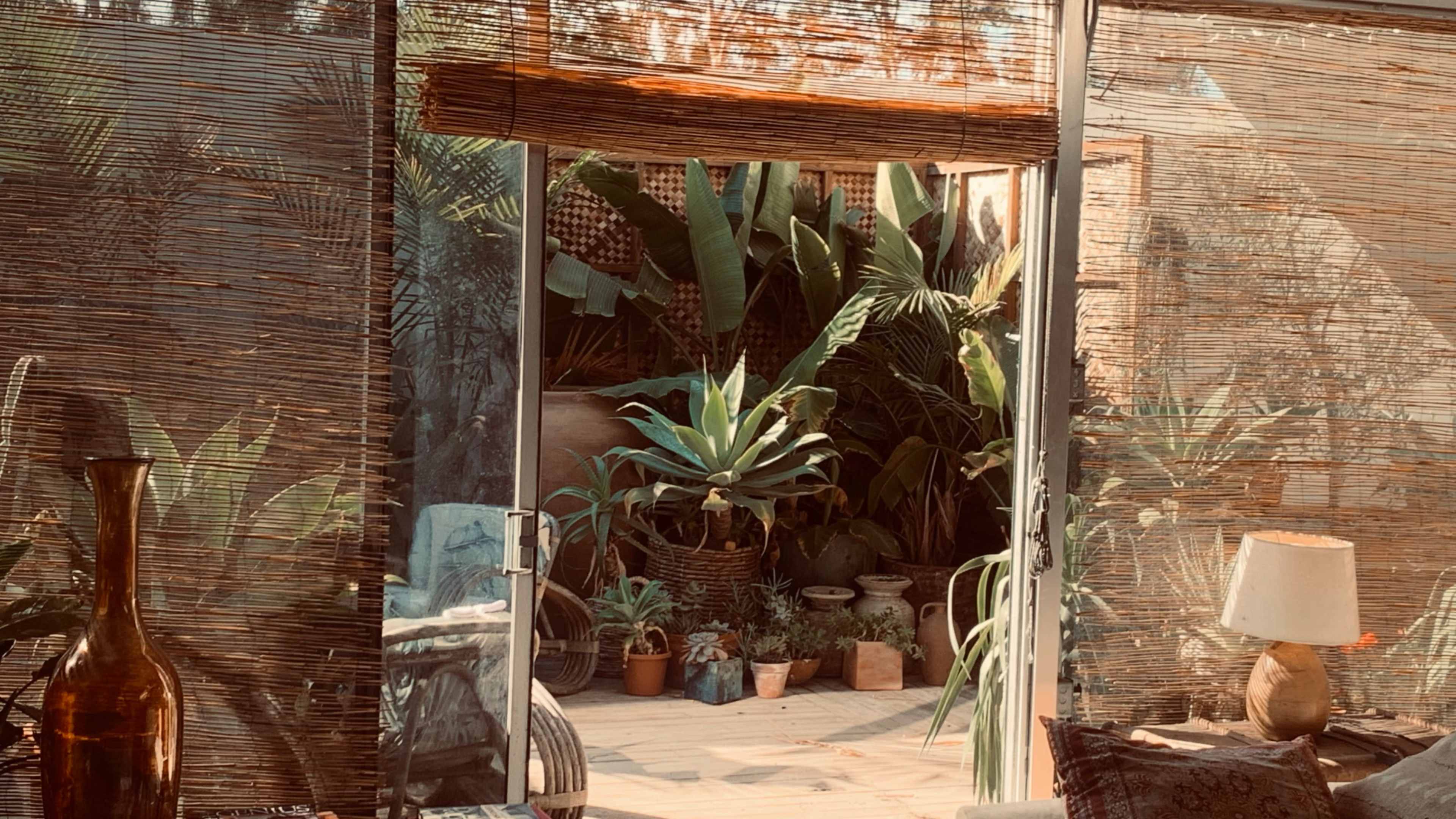 bali tropical studio Image in Westlake, los angeles, CA