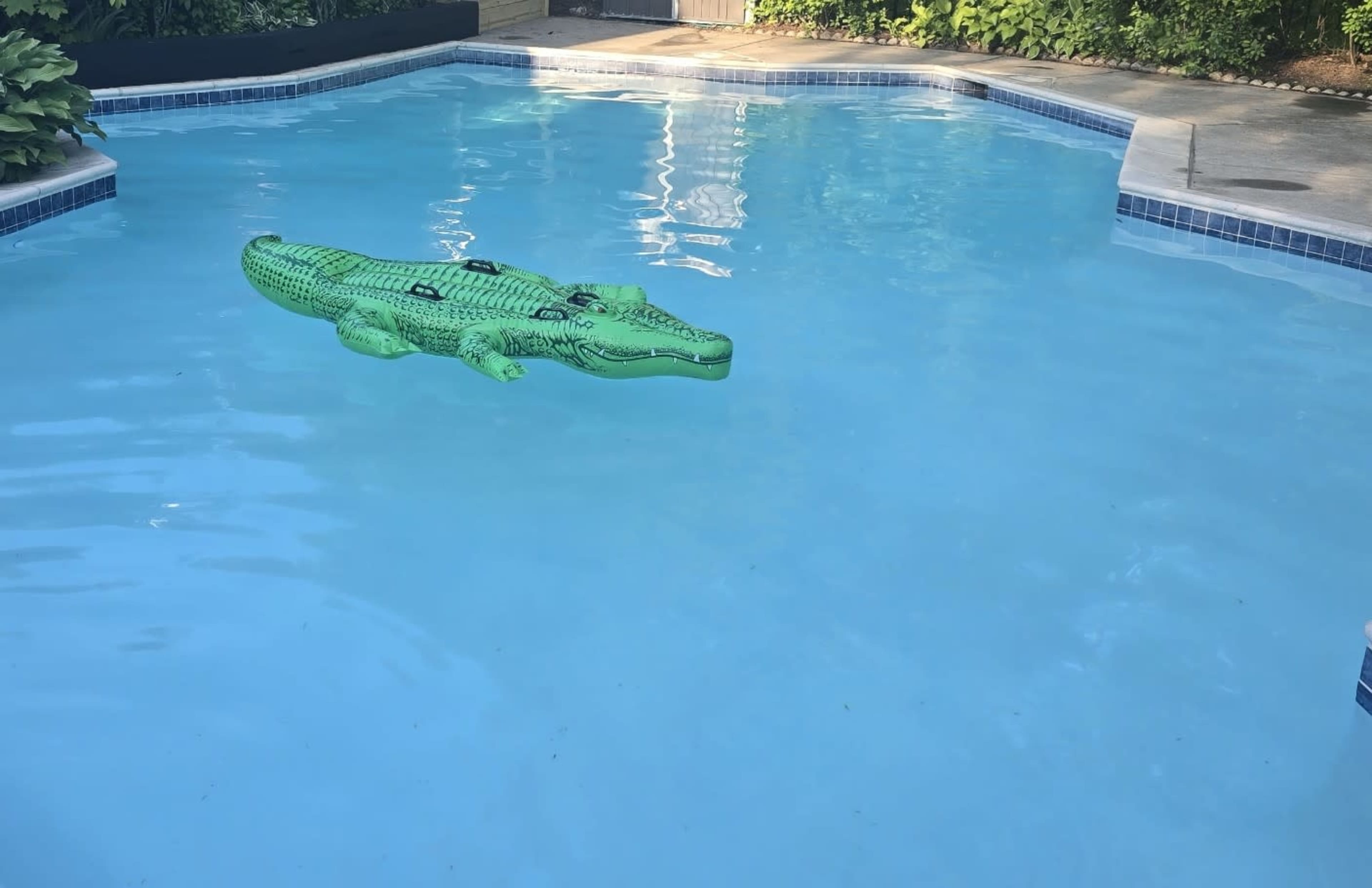 Heated Saltwater Pool and Spa Image in West Bloomfield Township, West Bloomfield Township, MI