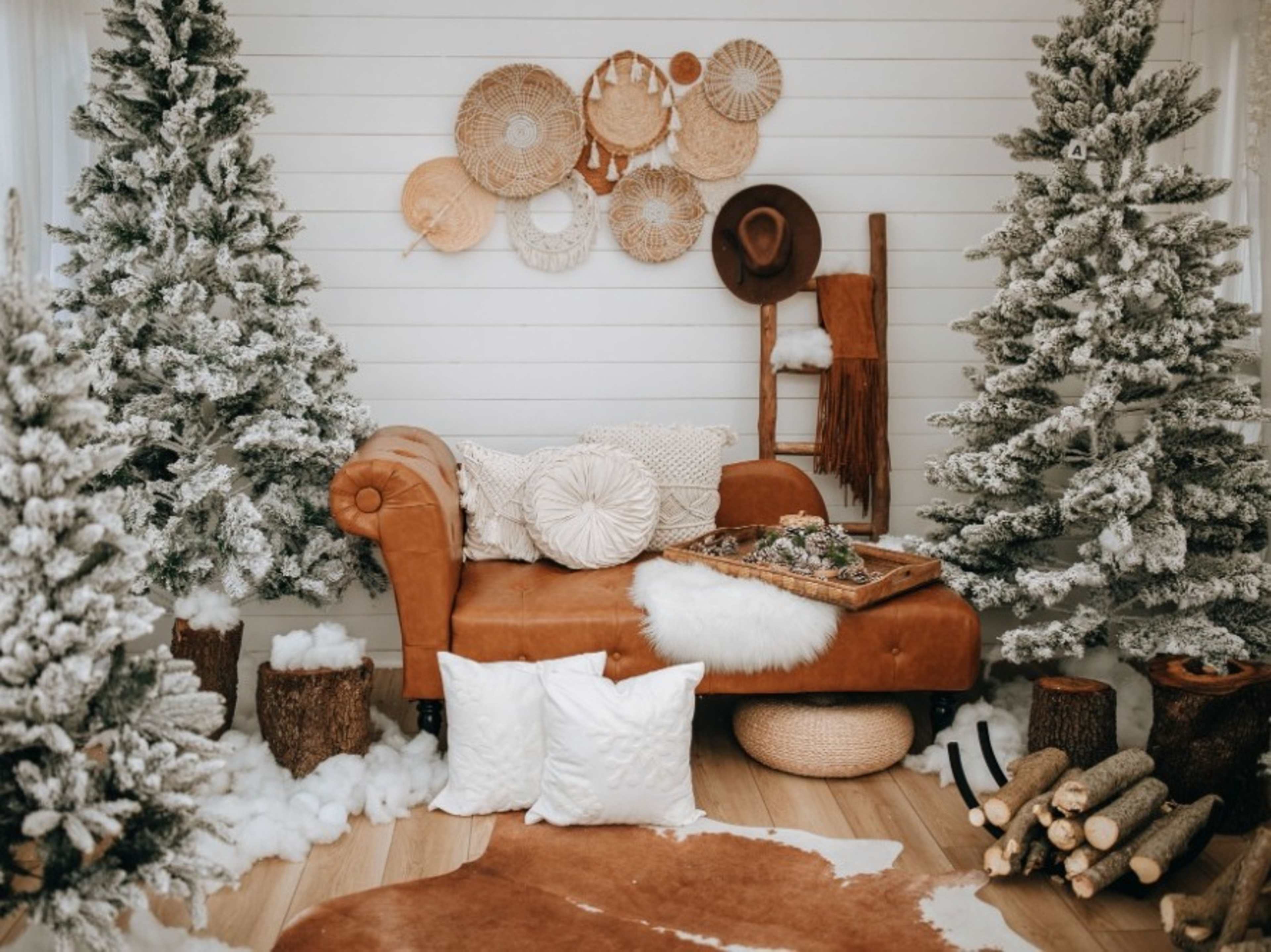 Winter Greenhouse Setup