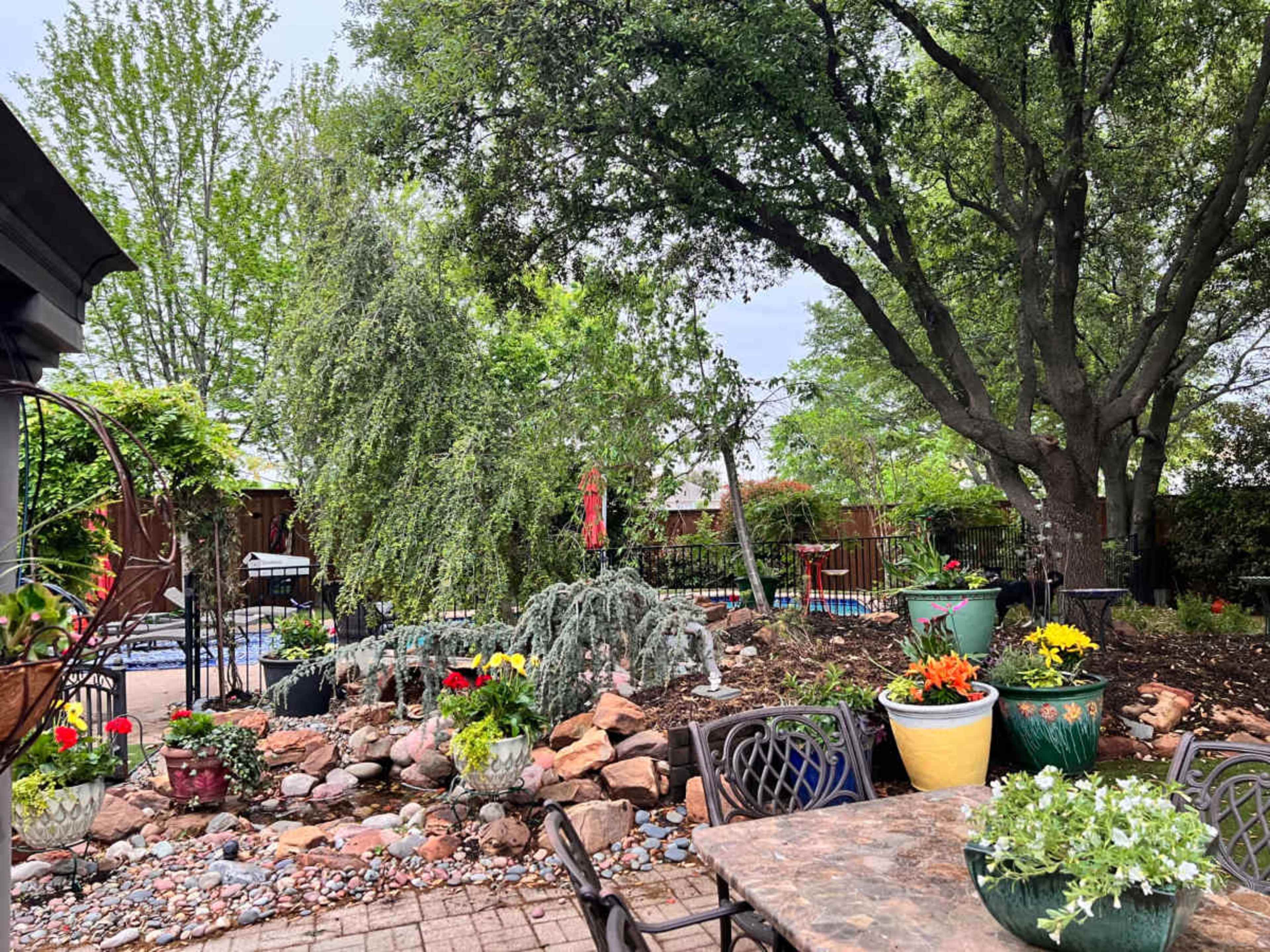 A landscaped garden features various potted plants, a stone pathway, and a view of a fenced area with a pool in the background.