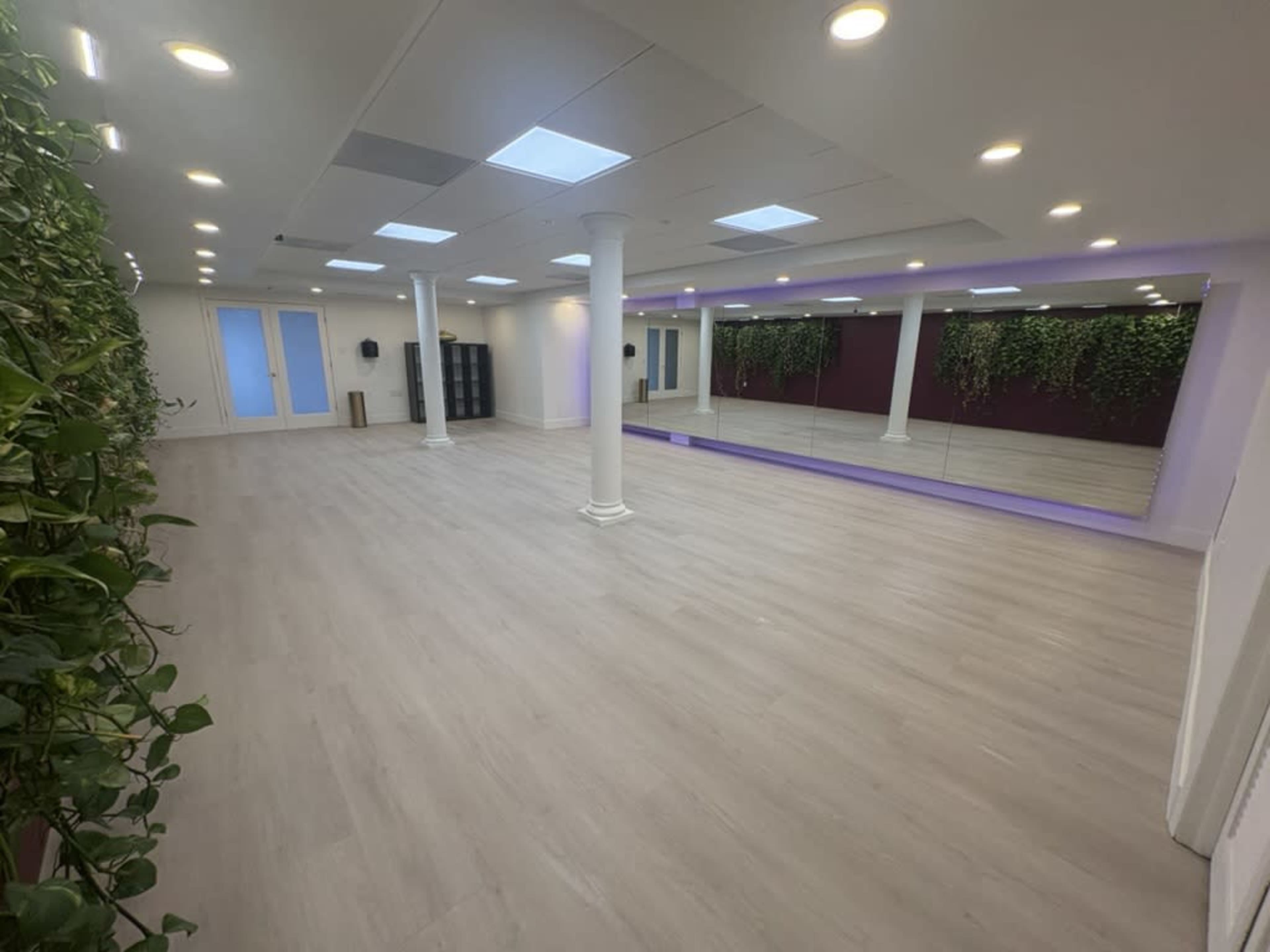The image shows a spacious, well-lit studio with wooden flooring, large mirrors, and green plants along the walls.
