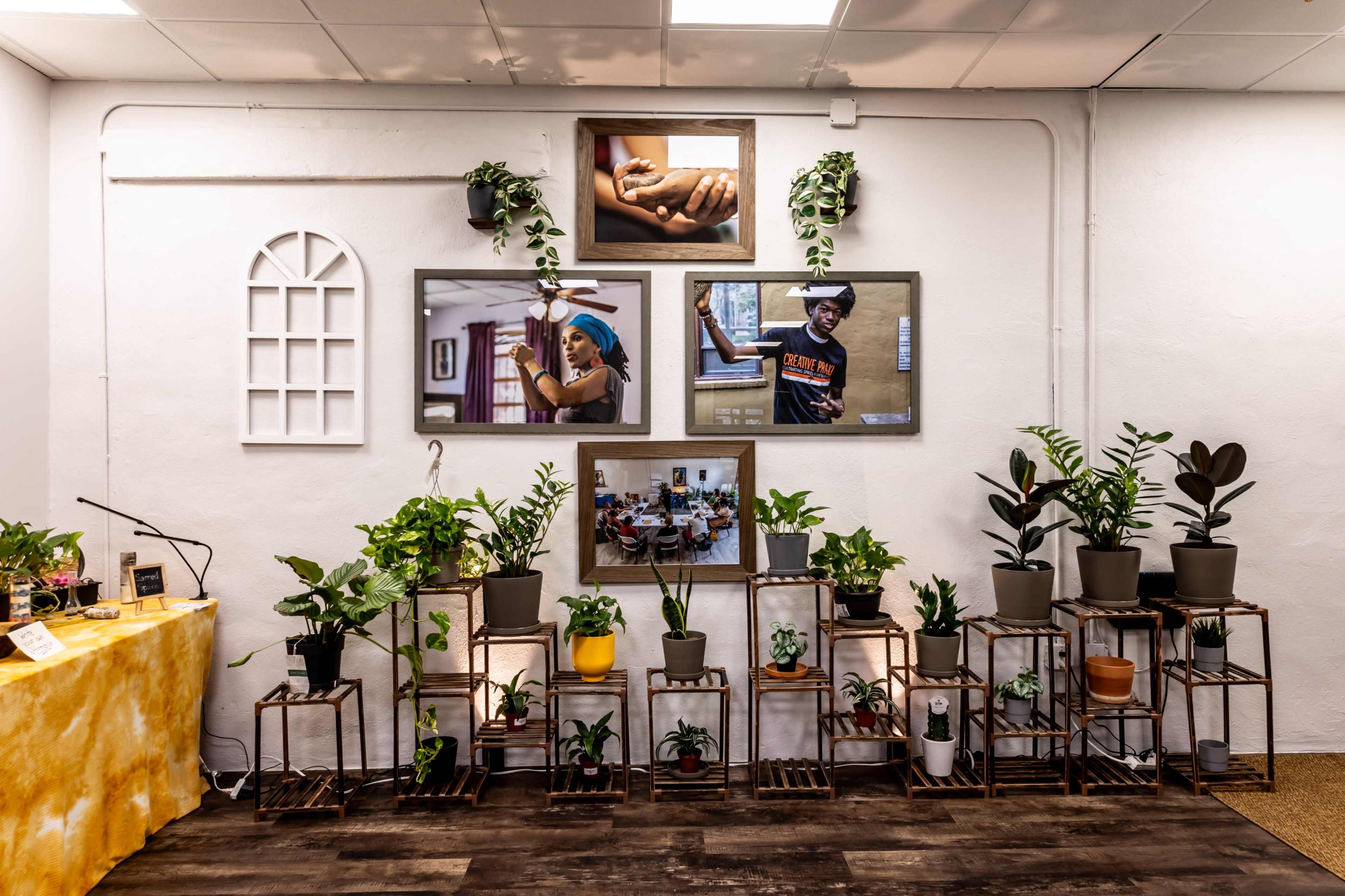 The image features a gallery wall displaying framed photographs surrounded by various potted plants on wooden shelves in a room with a bright, welcoming atmosphere.