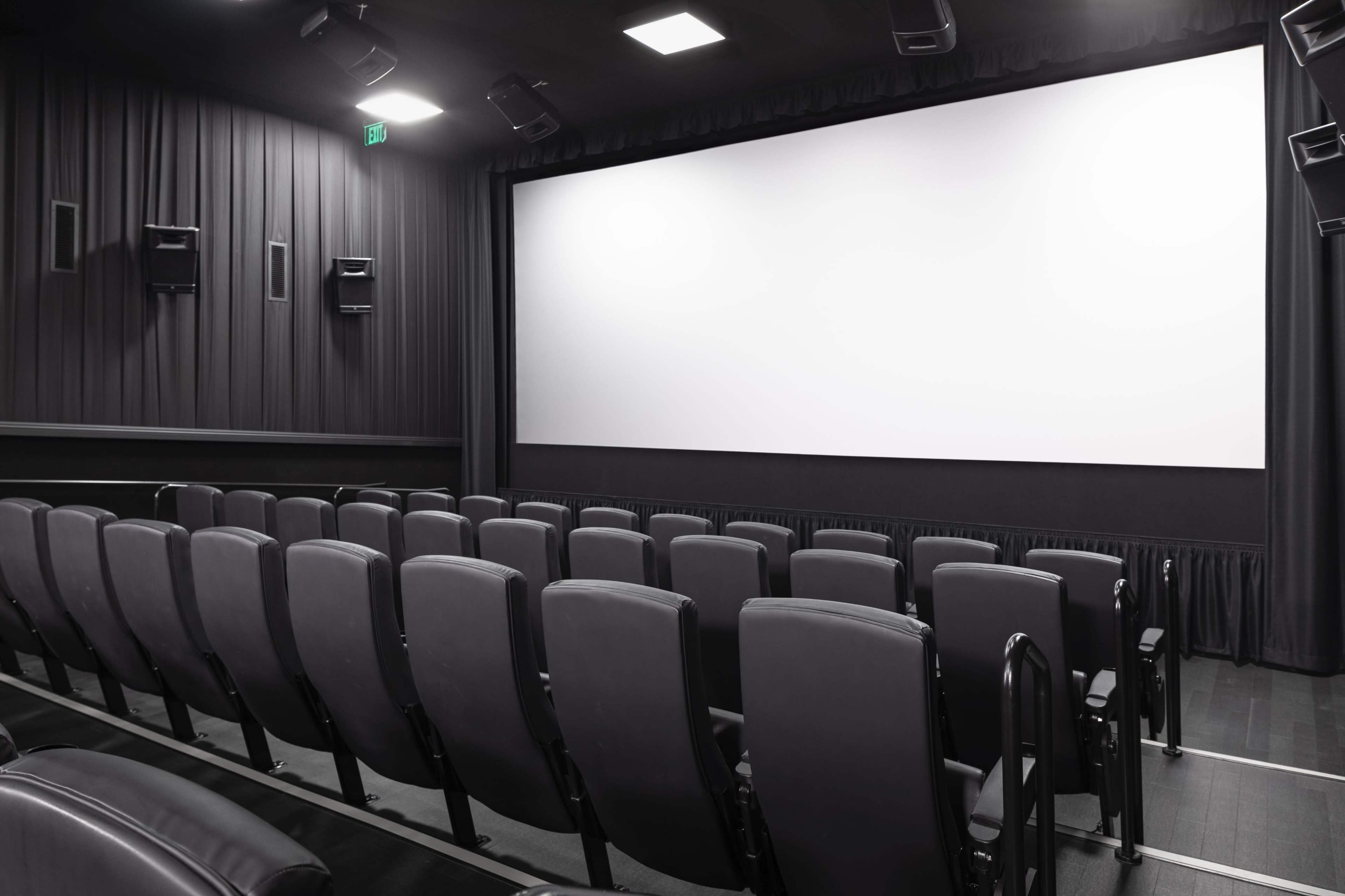 The image shows a modern, empty movie theater with rows of black chairs facing a large, blank screen.