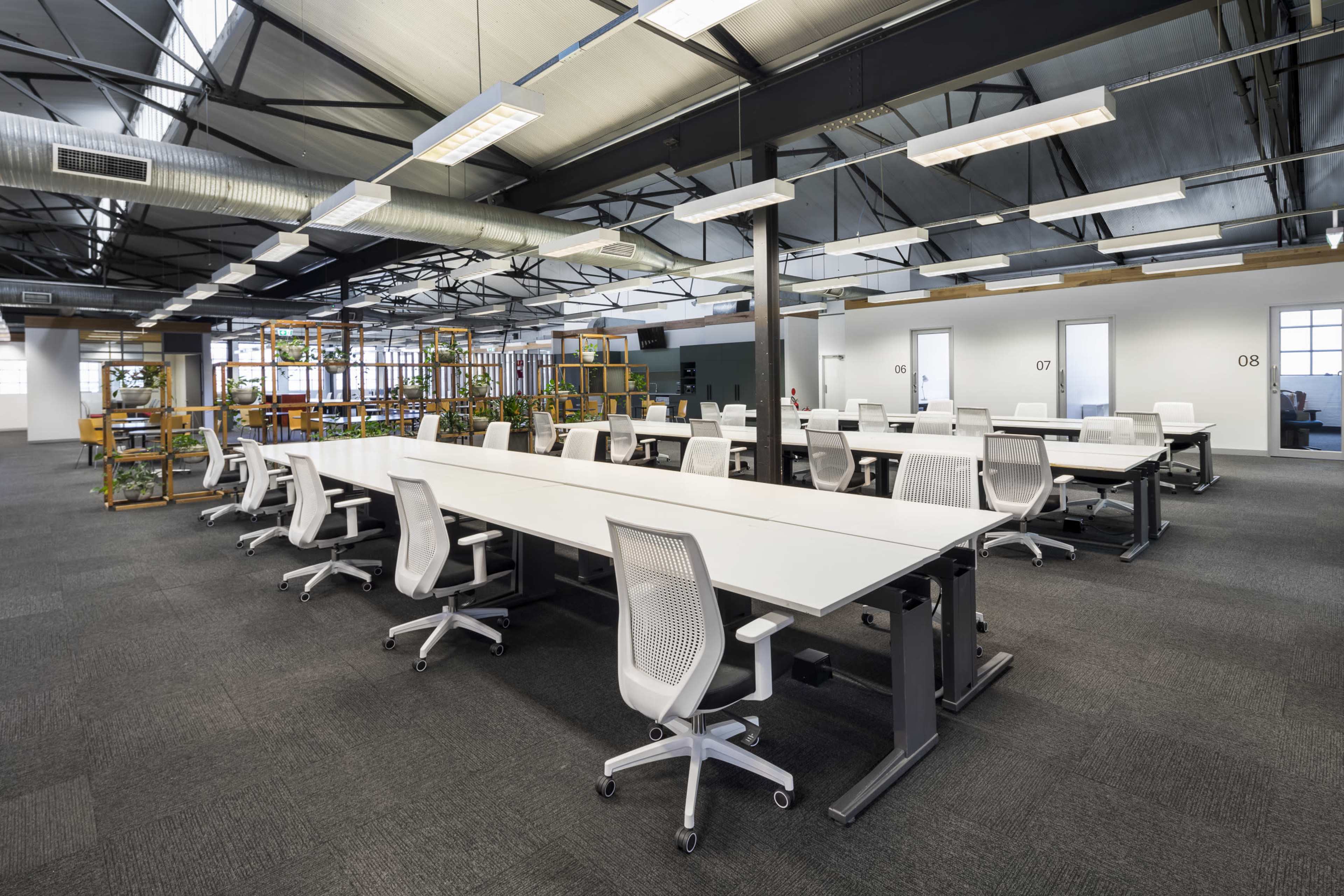 The image shows a spacious, modern office with multiple white desks arranged in an open layout, along with ergonomic chairs and green plants in wooden shelves.
