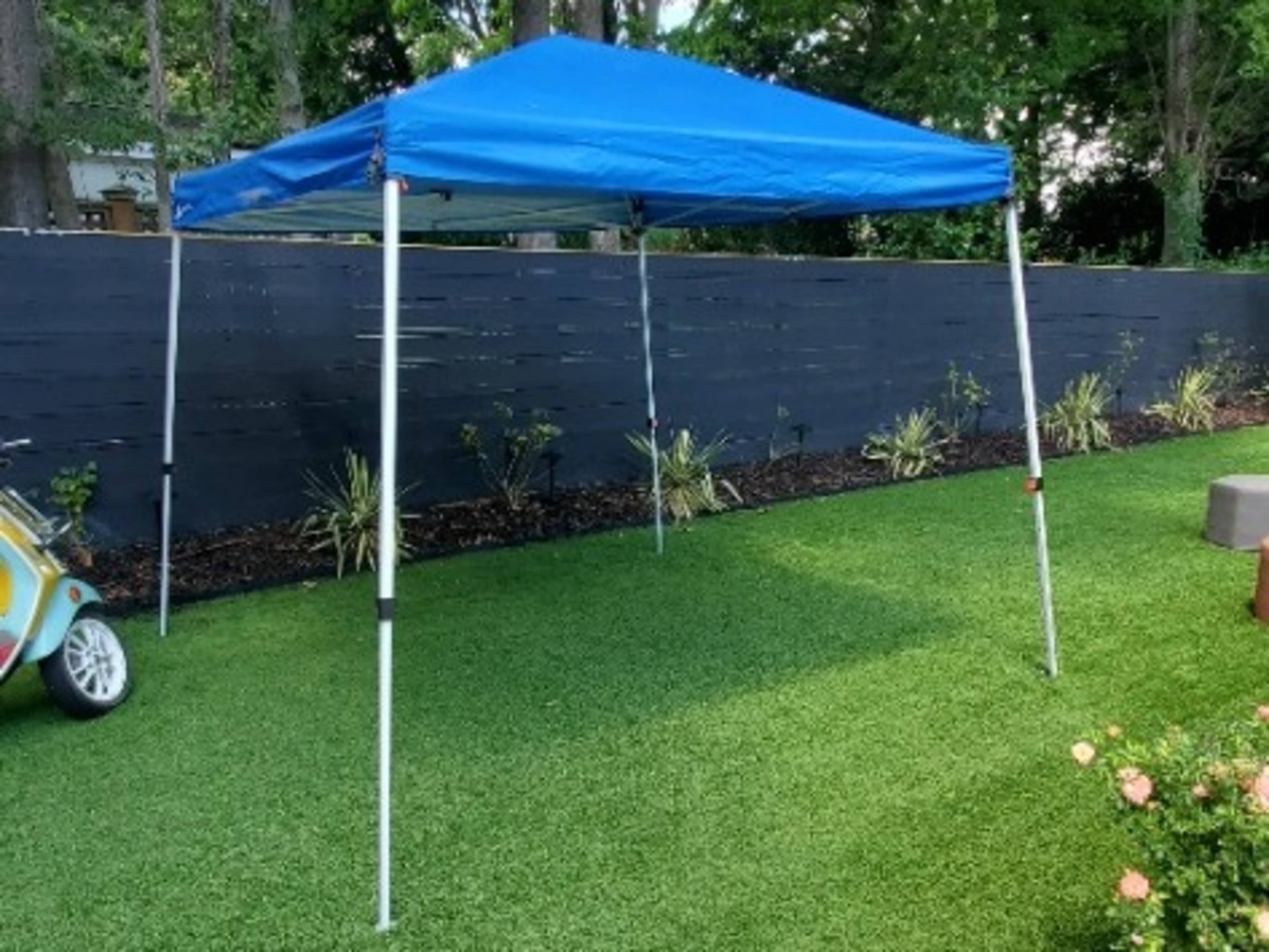 Blue Tent