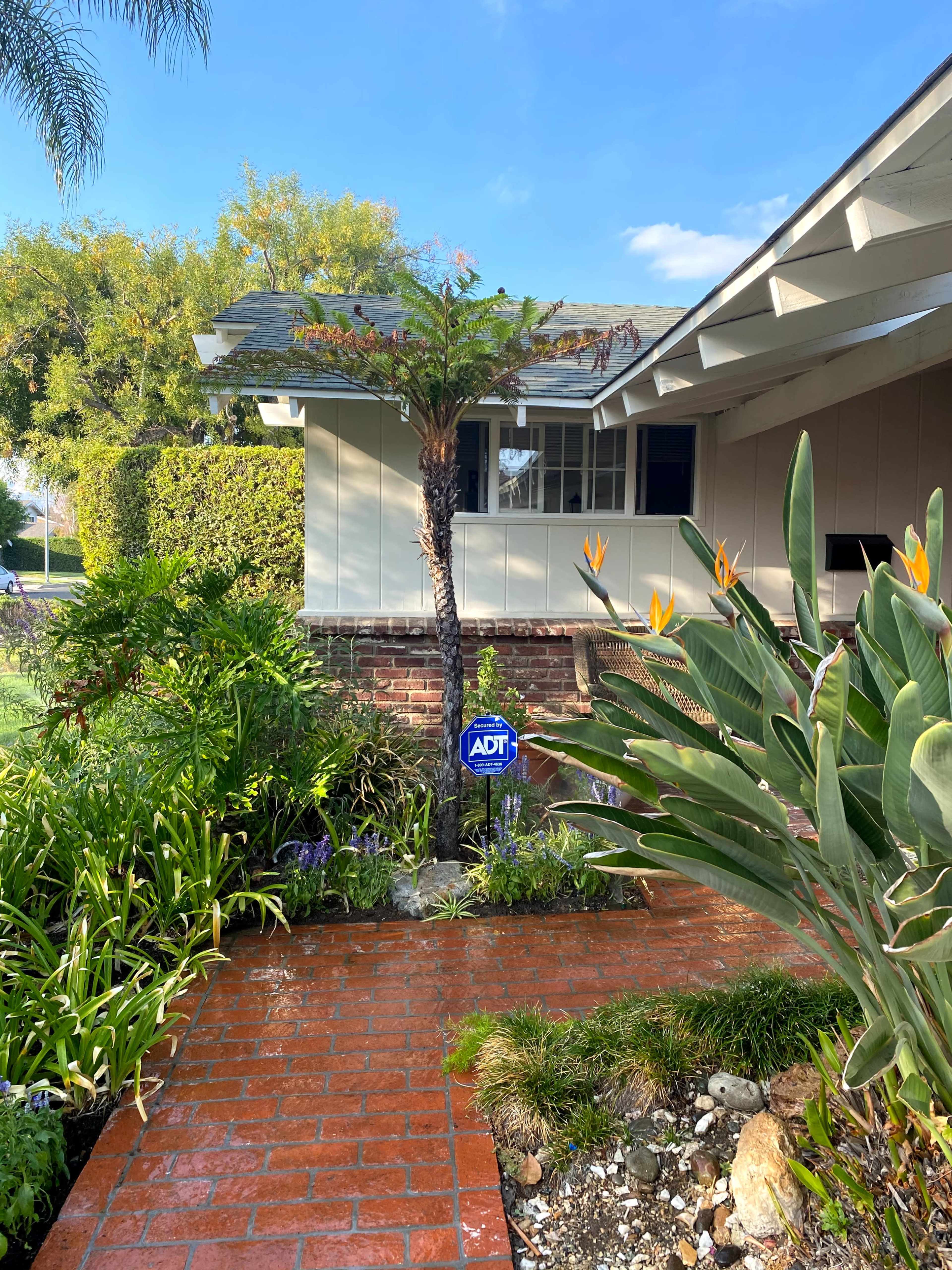 A brick pathway leads to a house with a palm tree and tropical plants in the front yard.