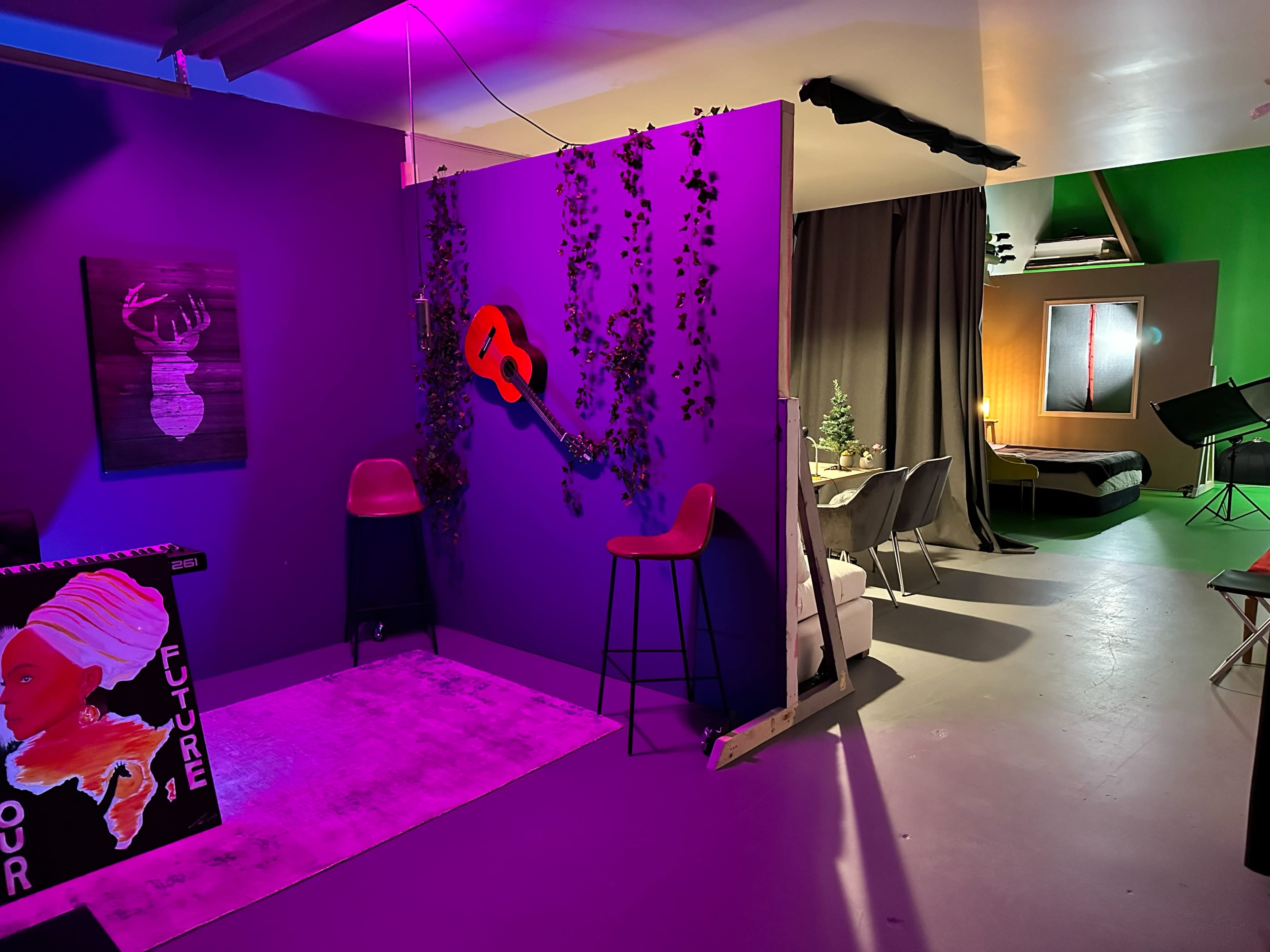 An interior space divided by a purple wall with decorative plants, featuring a guitar, two chairs, and a view of a bed behind a curtain.