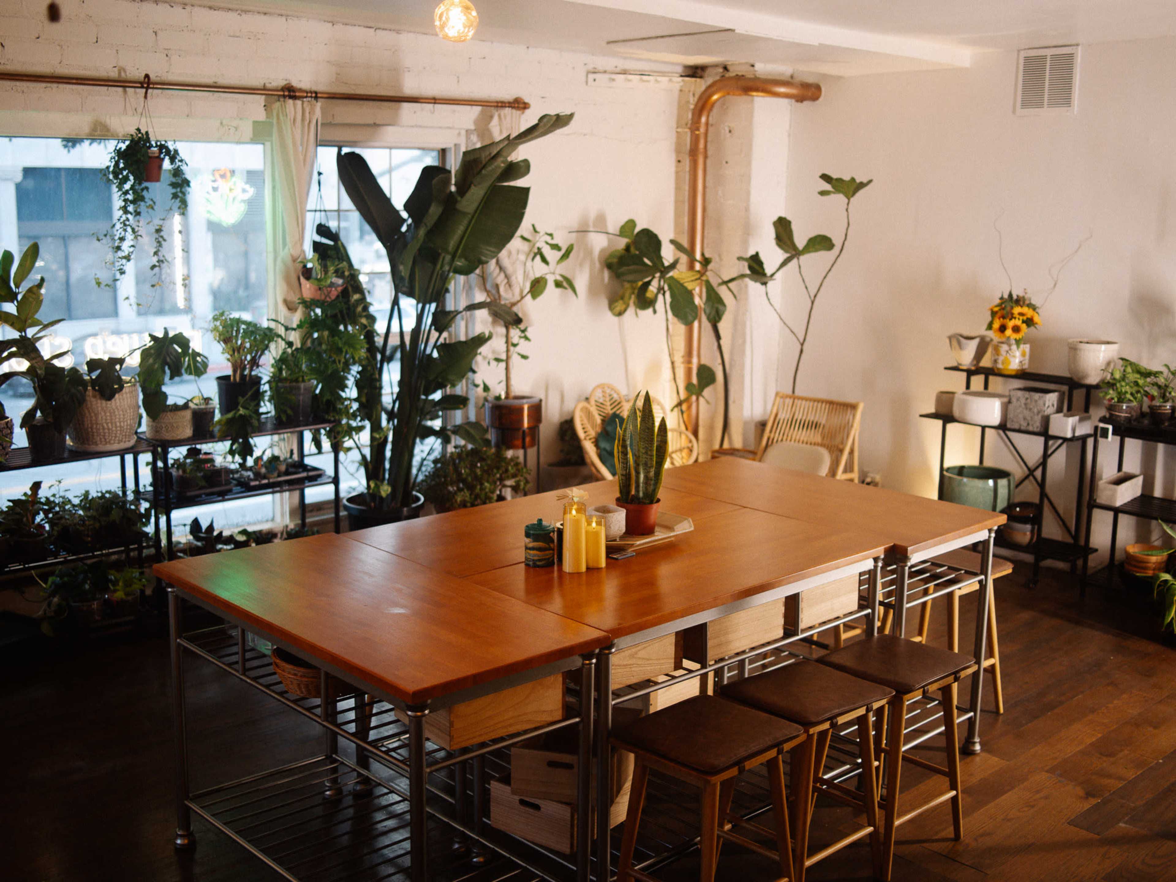 The image shows a room with a wooden table surrounded by chairs, filled with various potted plants and natural light coming through large windows.