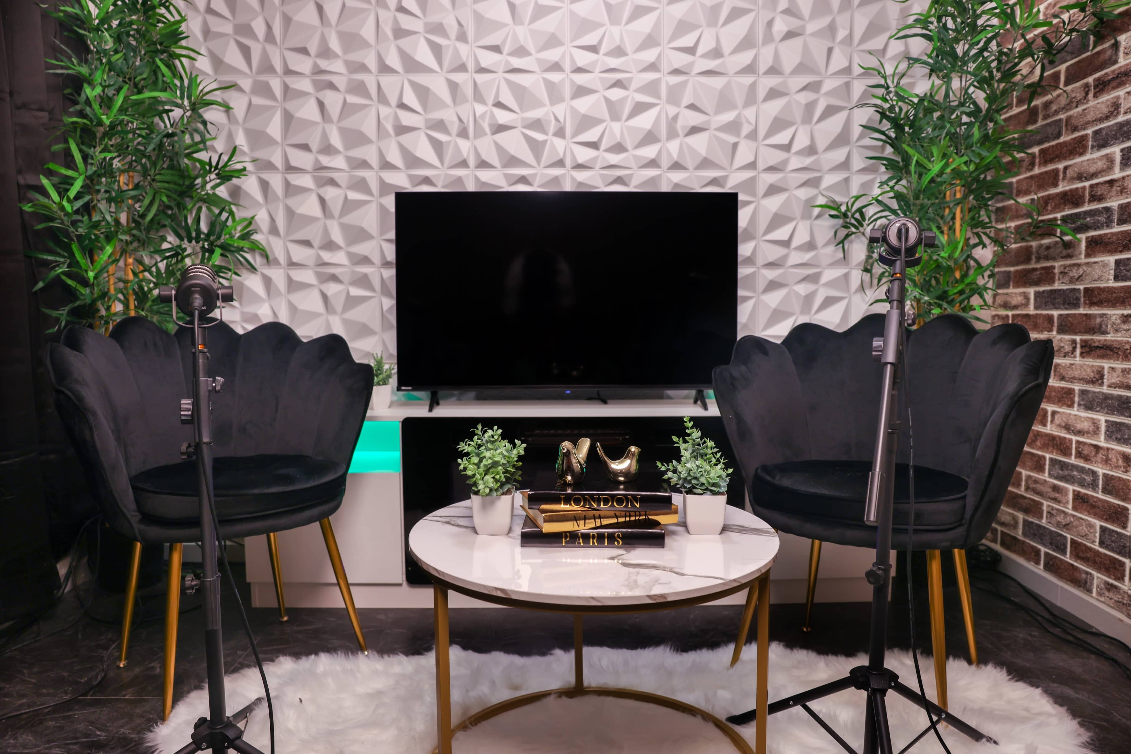 The image shows a stylish studio setup with two black chairs, a round coffee table, and a television against a textured wall, surrounded by decorative plants.