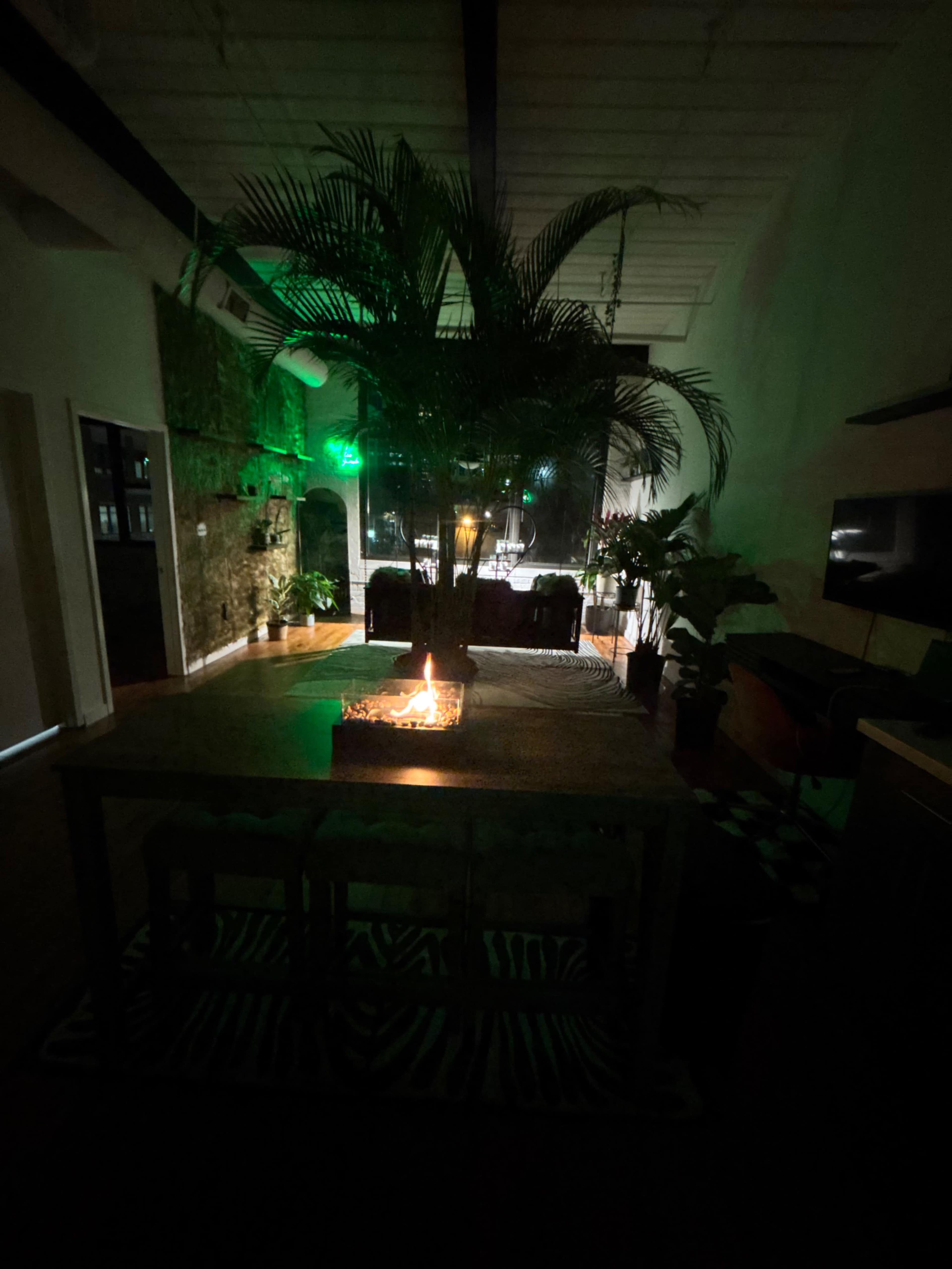 The image shows a dimly lit room featuring a large palm tree in the center of a table, with various plants and a seating area visible in the background.