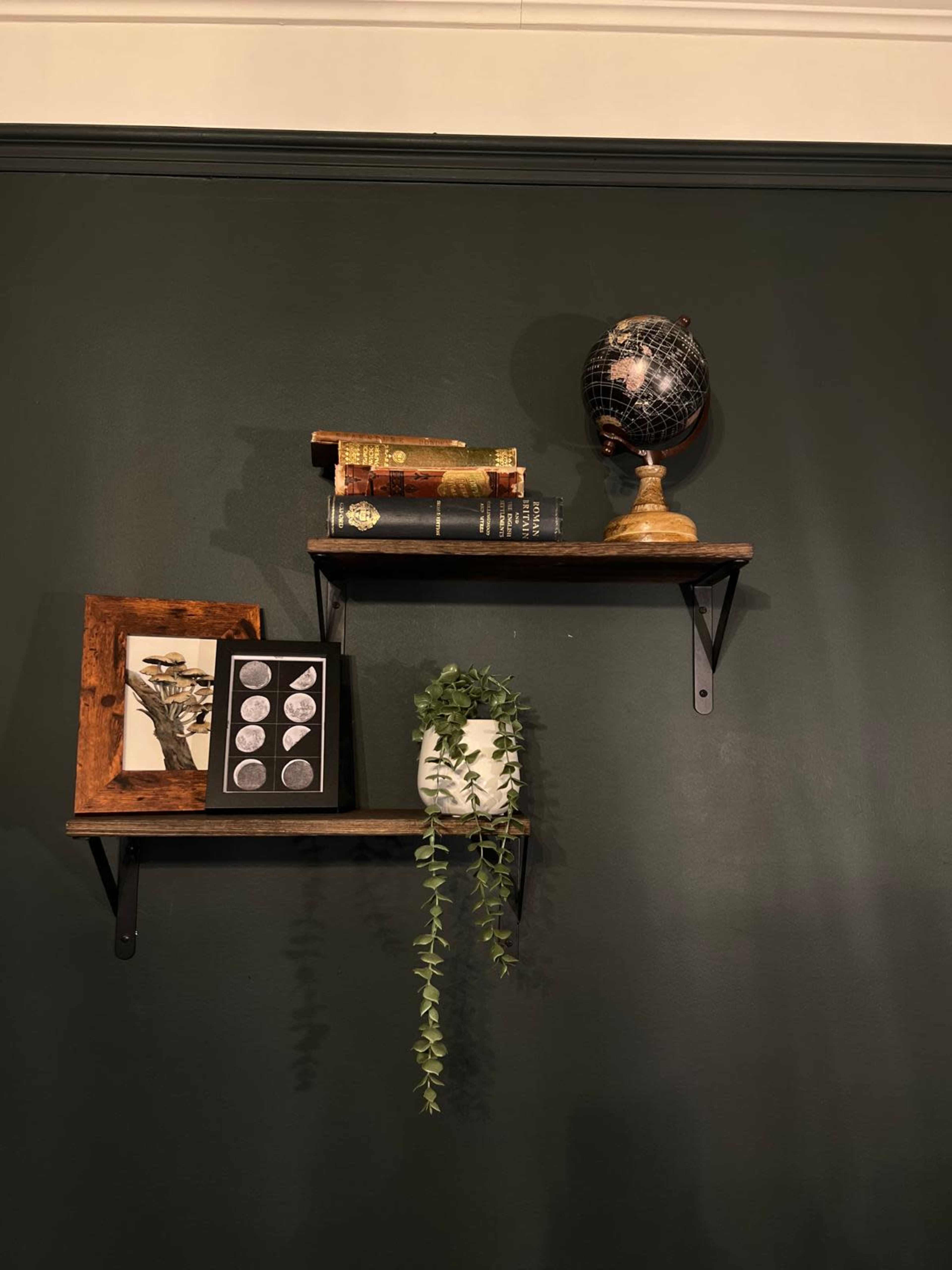 The image displays two wooden shelves mounted on a dark green wall, one holding a globe and old books, and the other featuring a framed print and a potted plant.