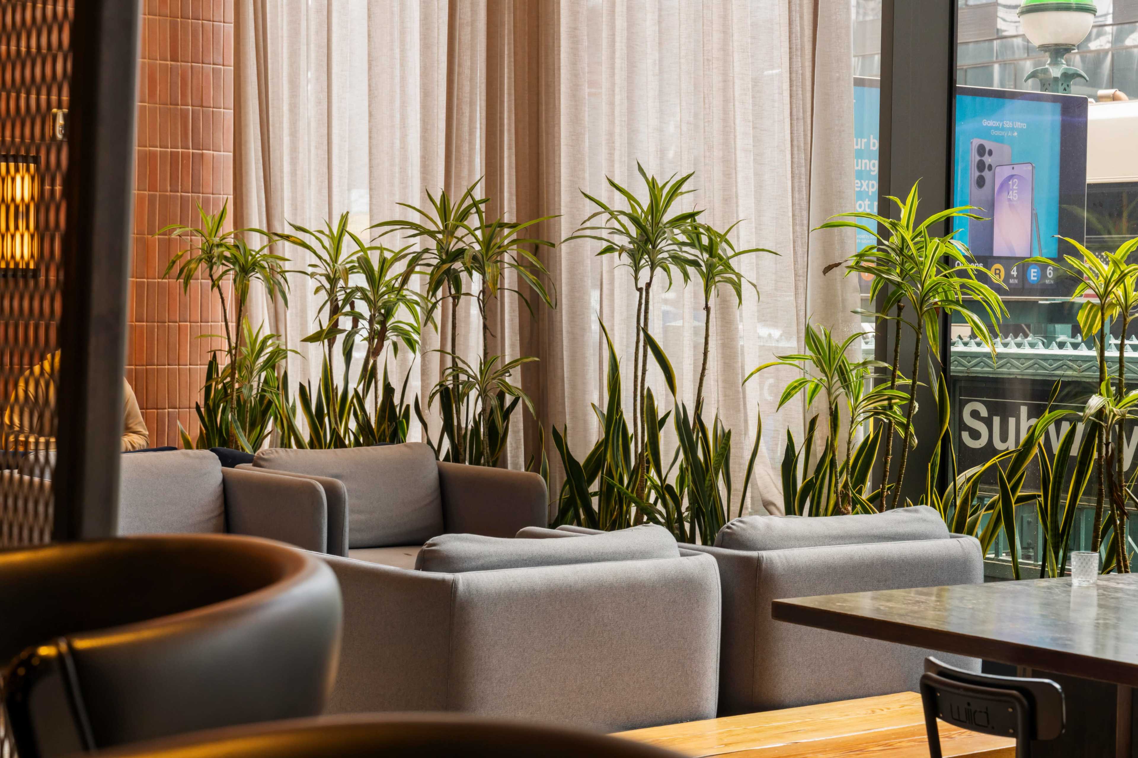 The image shows a cozy seating area with grey armchairs surrounded by tall green plants and soft curtains.