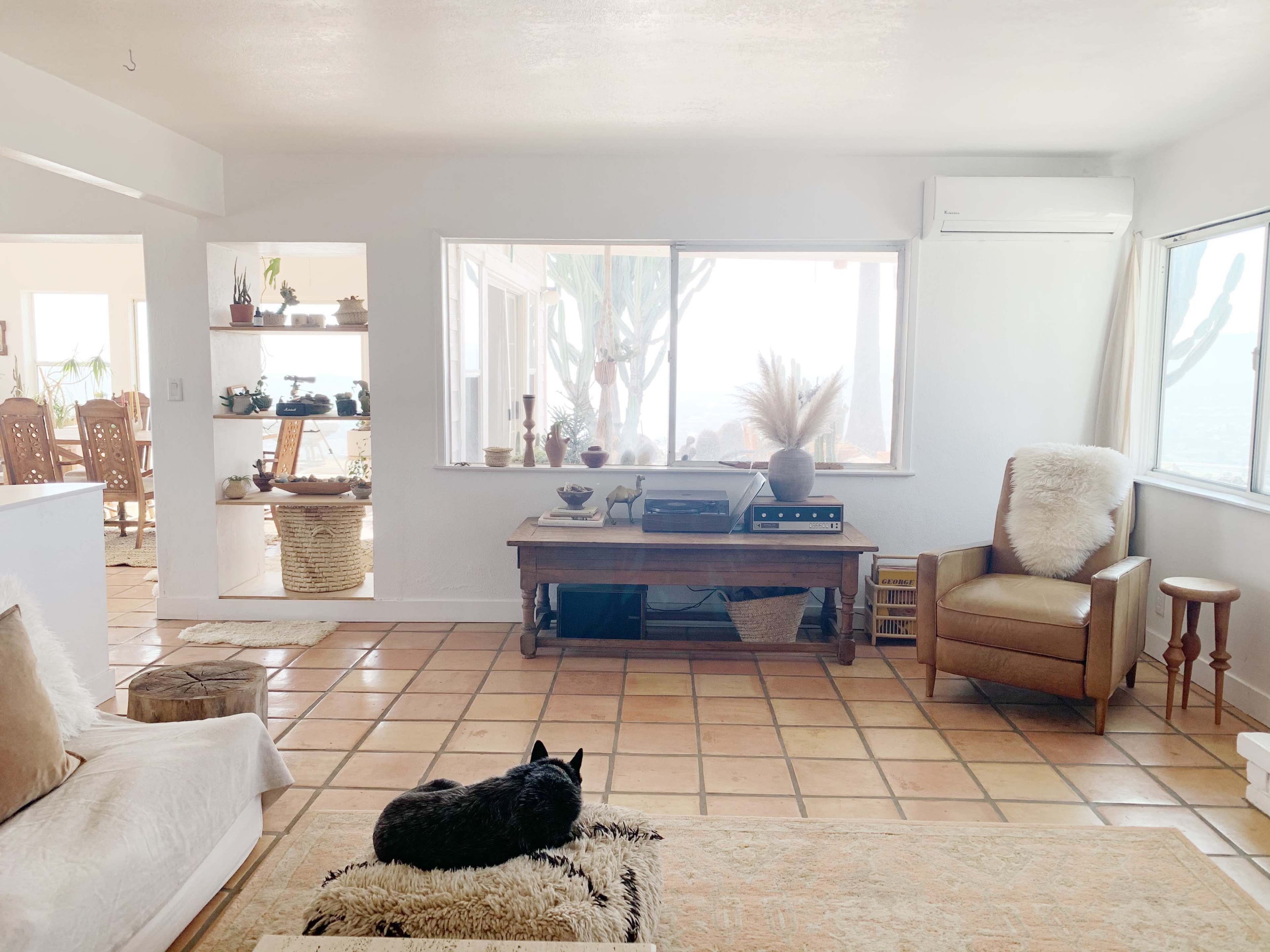 The living room features a wooden coffee table, an armchair, and a black cat resting on a rug, with large windows that provide a view of the outside.